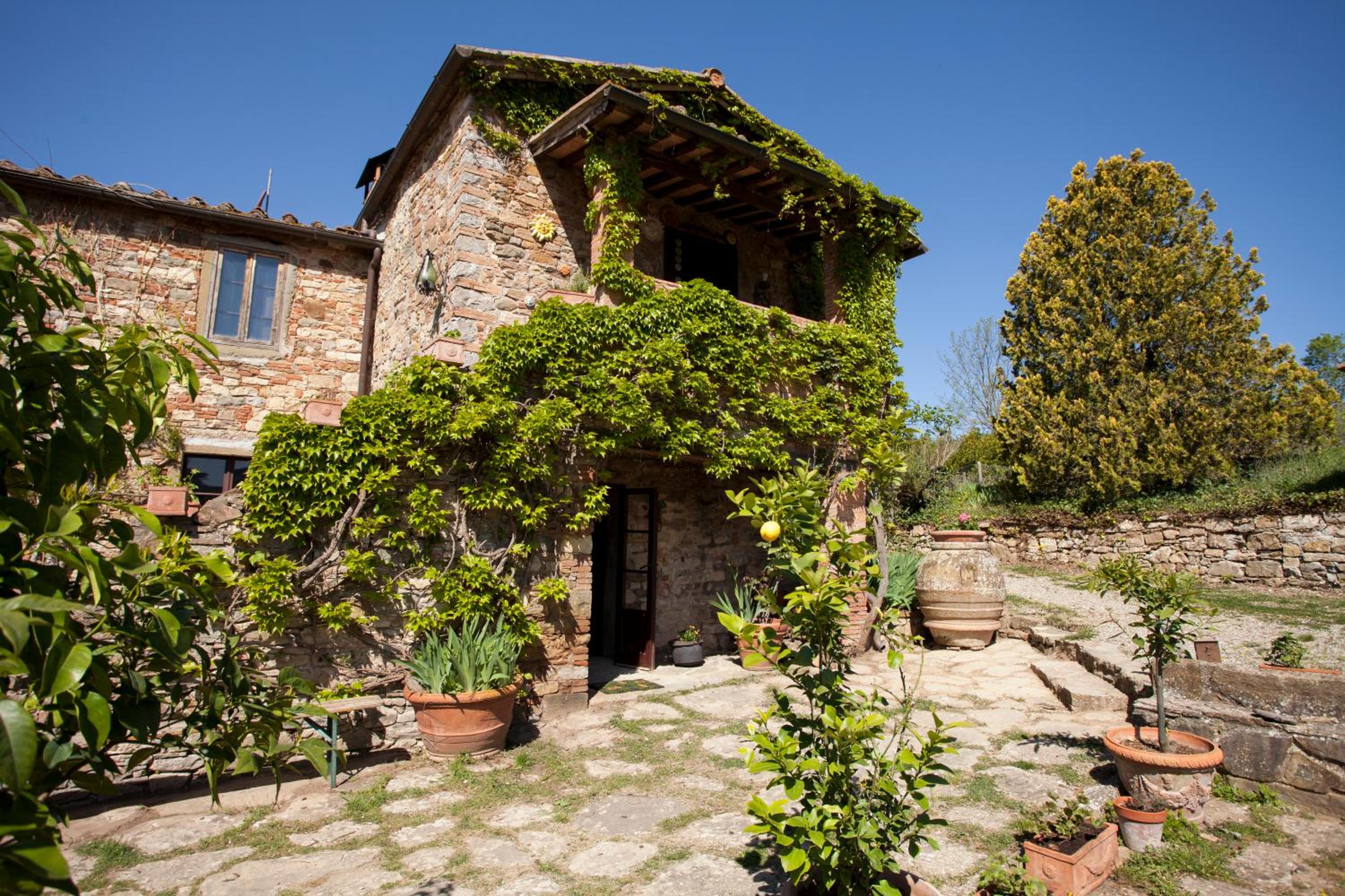 Radda in Chianti Vacations - Podere Terreno alla via della volpaia - Property Image 75