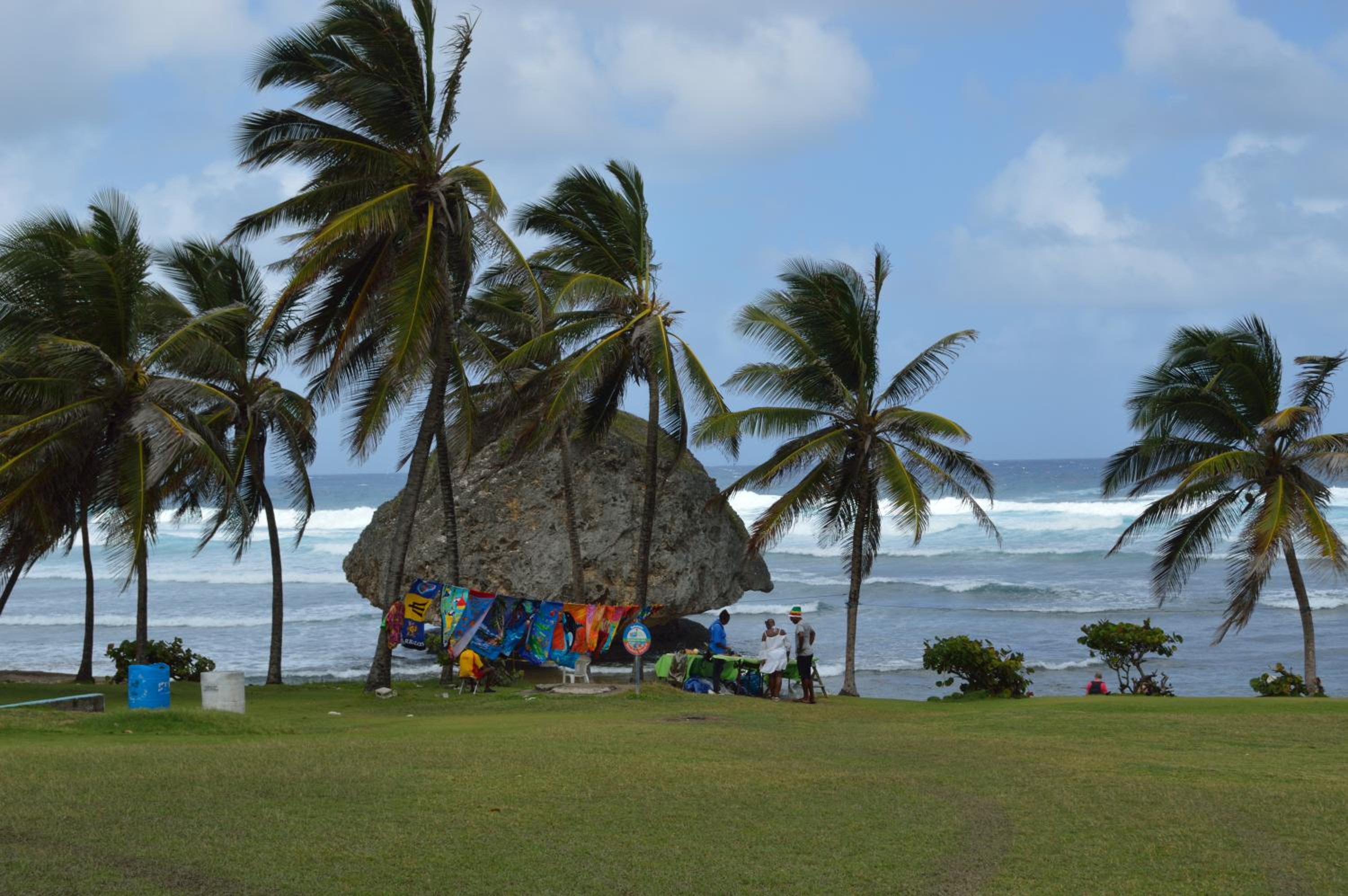 Yellow Bird Apartment
