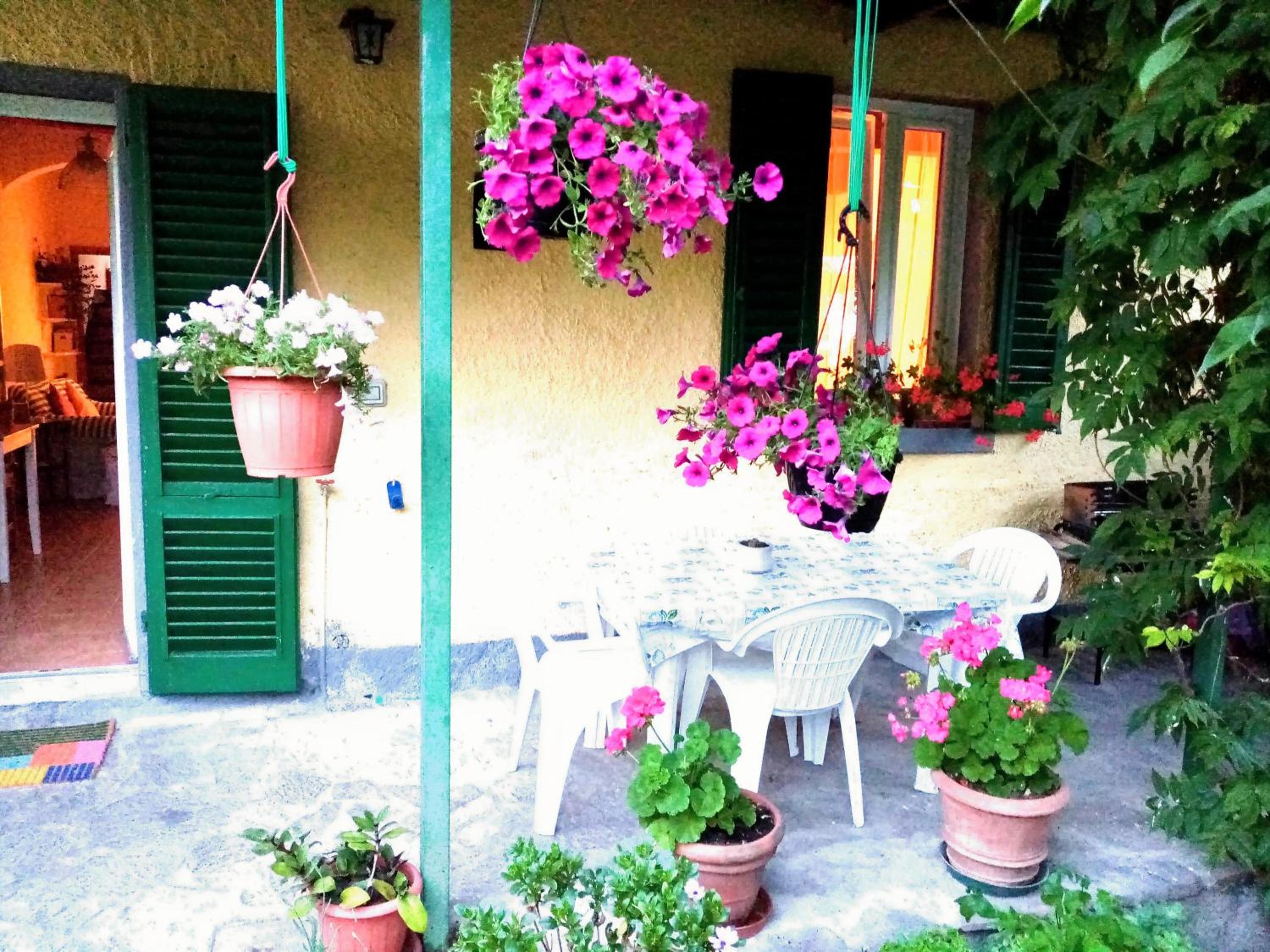 casa minnie