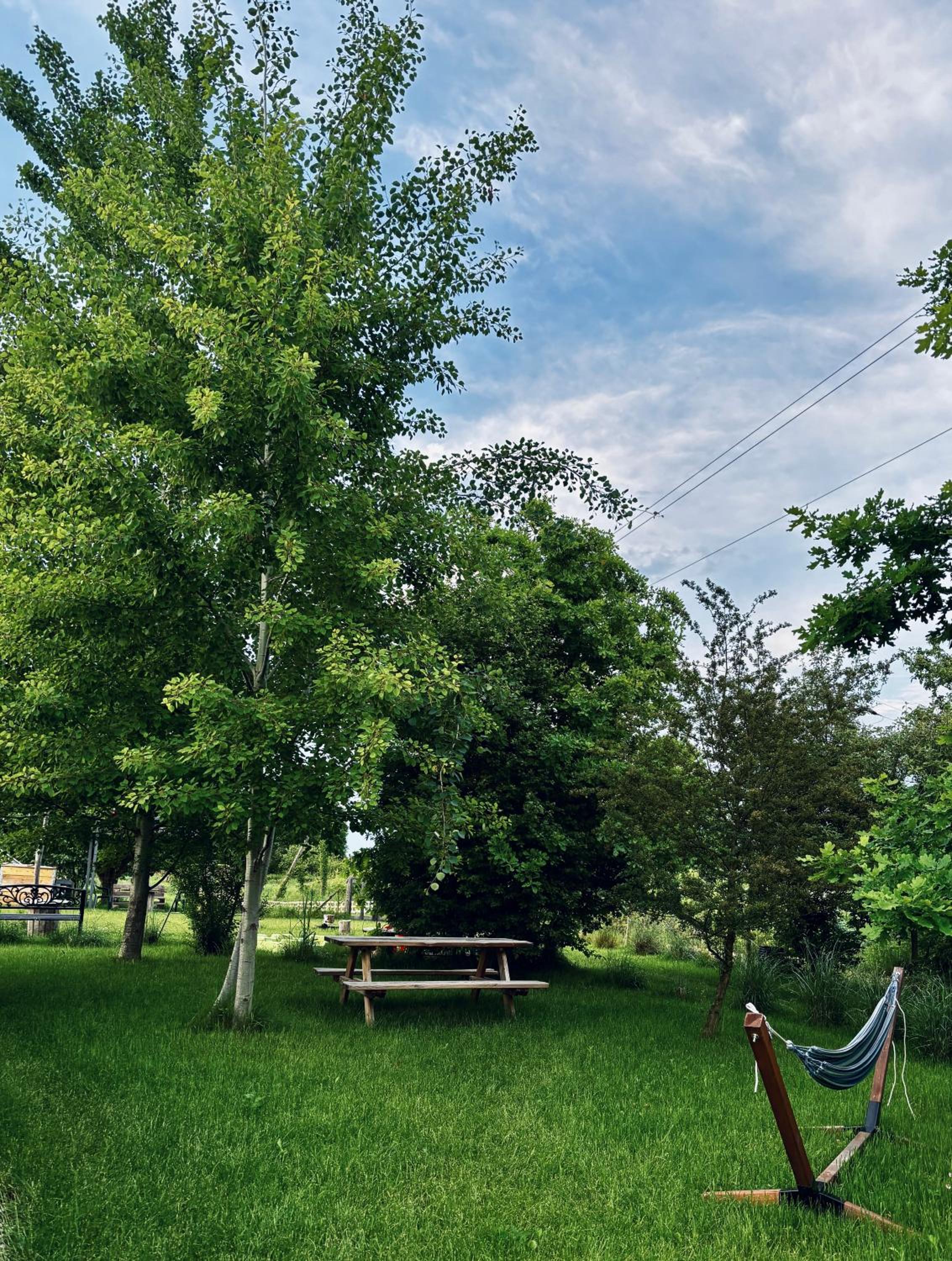 Glamping Stacja Zieleniec w Nałęczowie