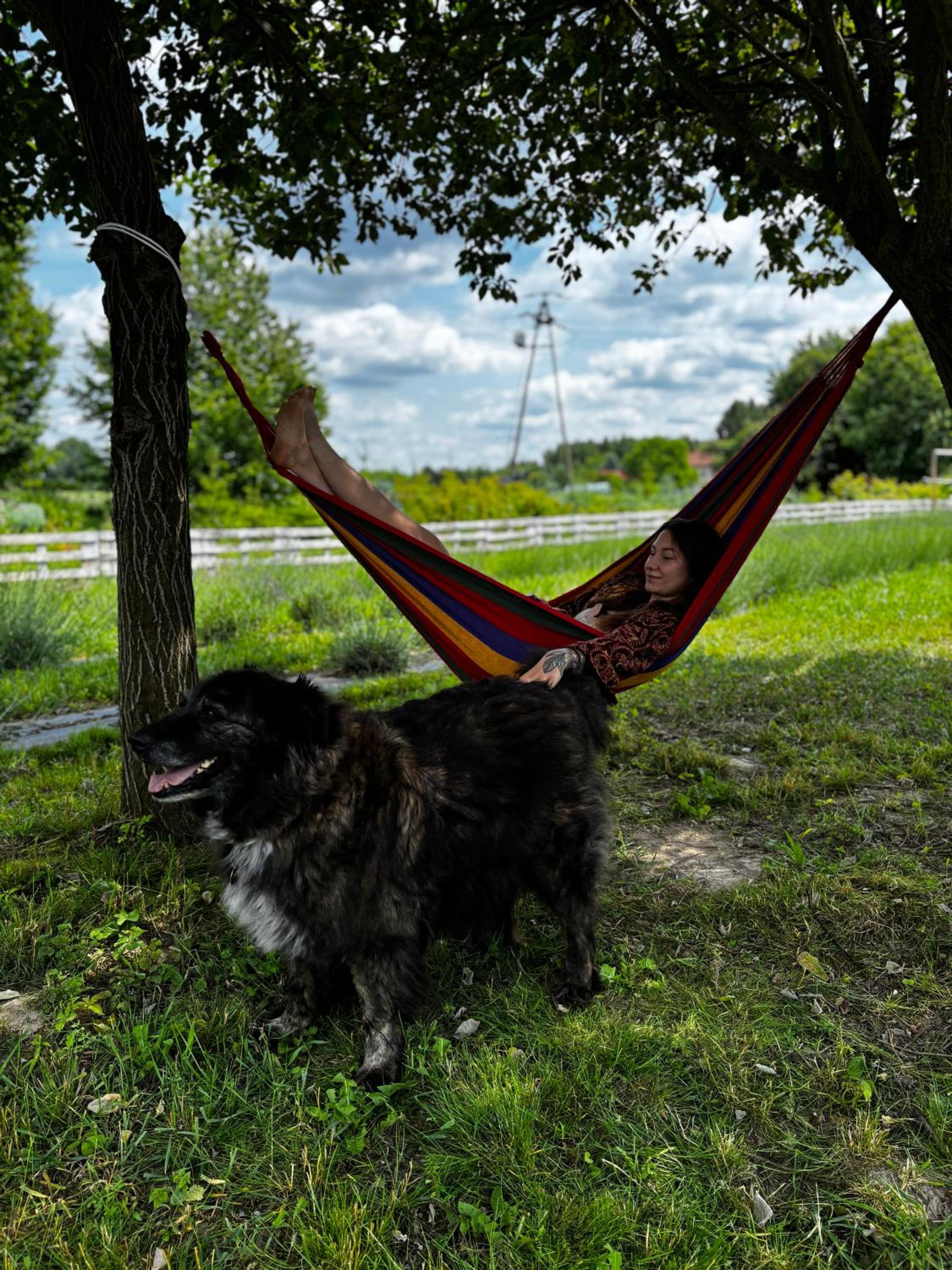 Glamping Stacja Zieleniec w Nałęczowie