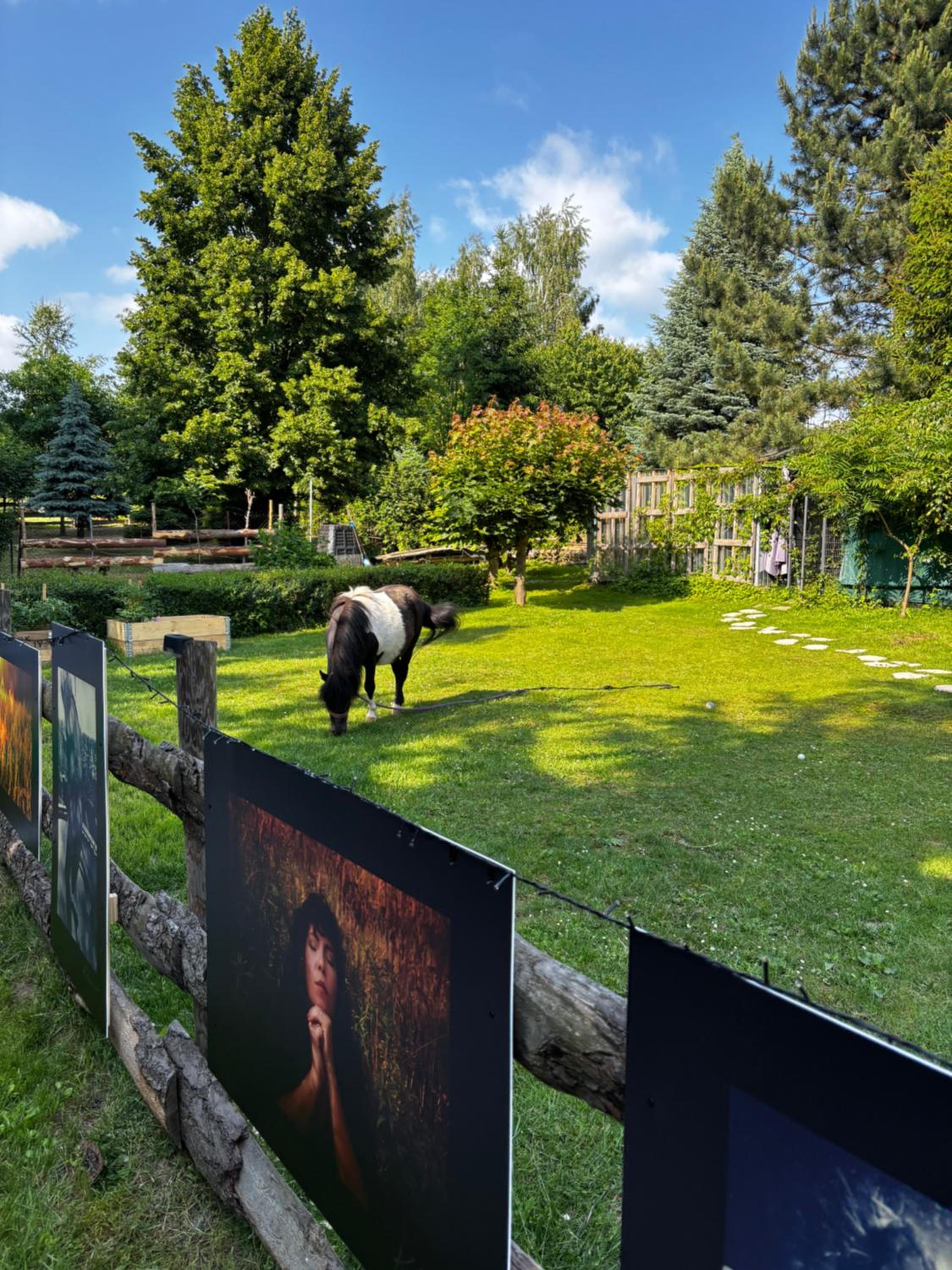 Glamping Stacja Zieleniec w Nałęczowie