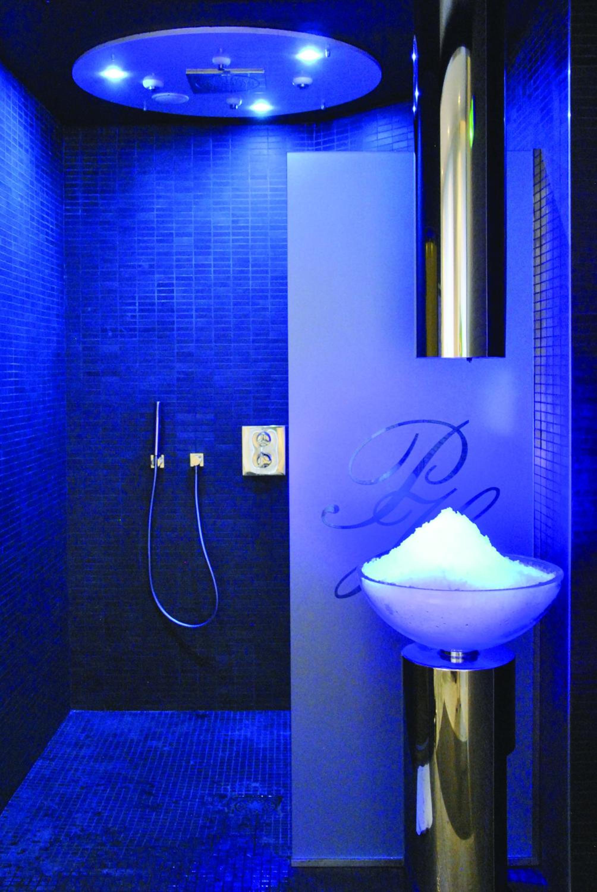 Grenoble Vacations - Park Hotel Grenoble - MGallery - Property Image 13