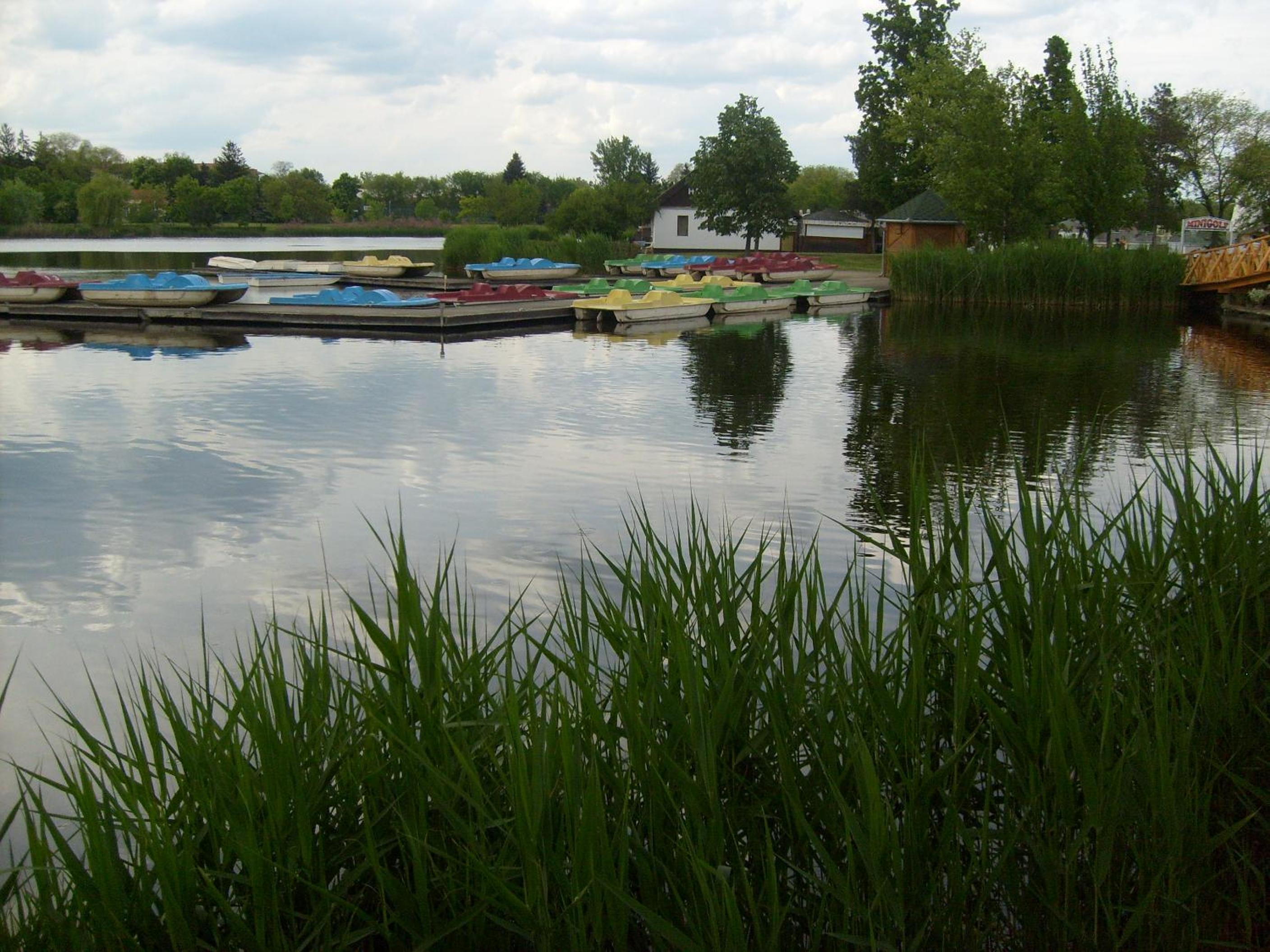 Photo 28