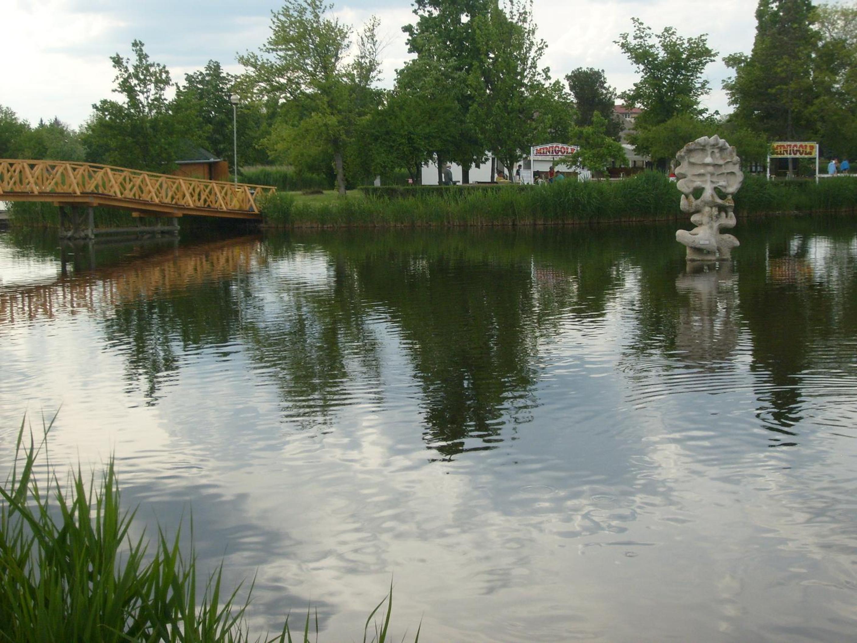 Photo 30