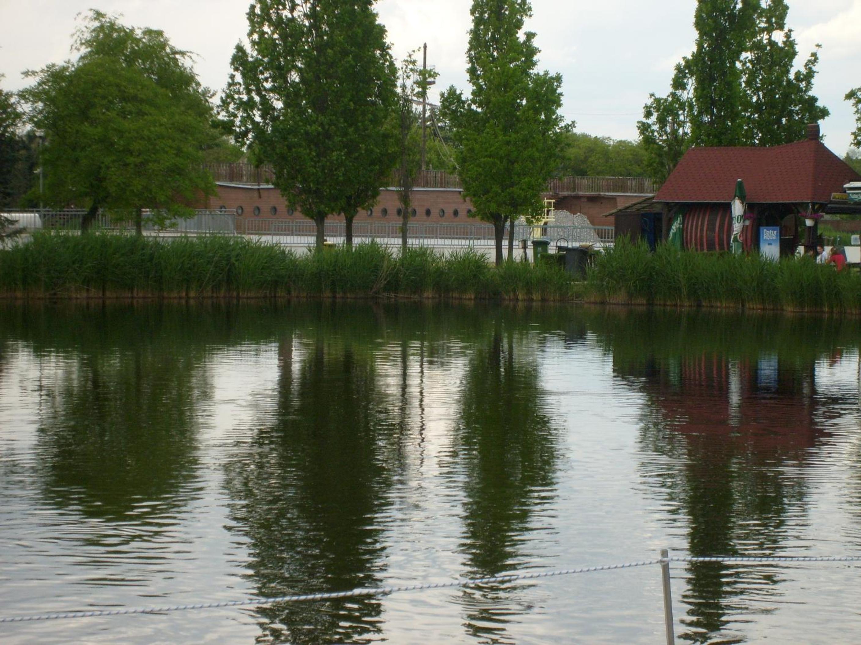 Photo 29