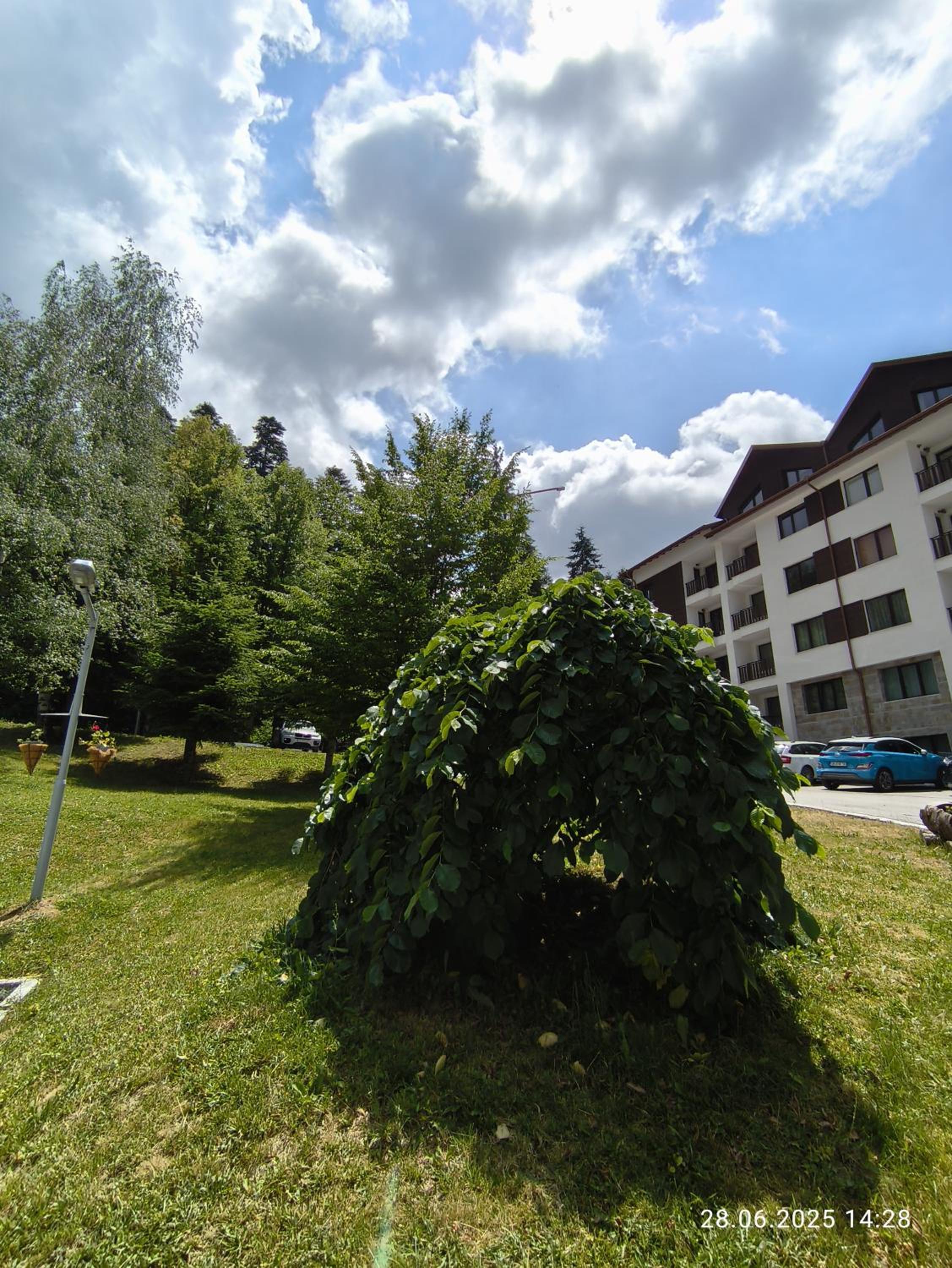 Borovets Gardens Forest STUDIO A3 - FREE PARKING,Free baby cot