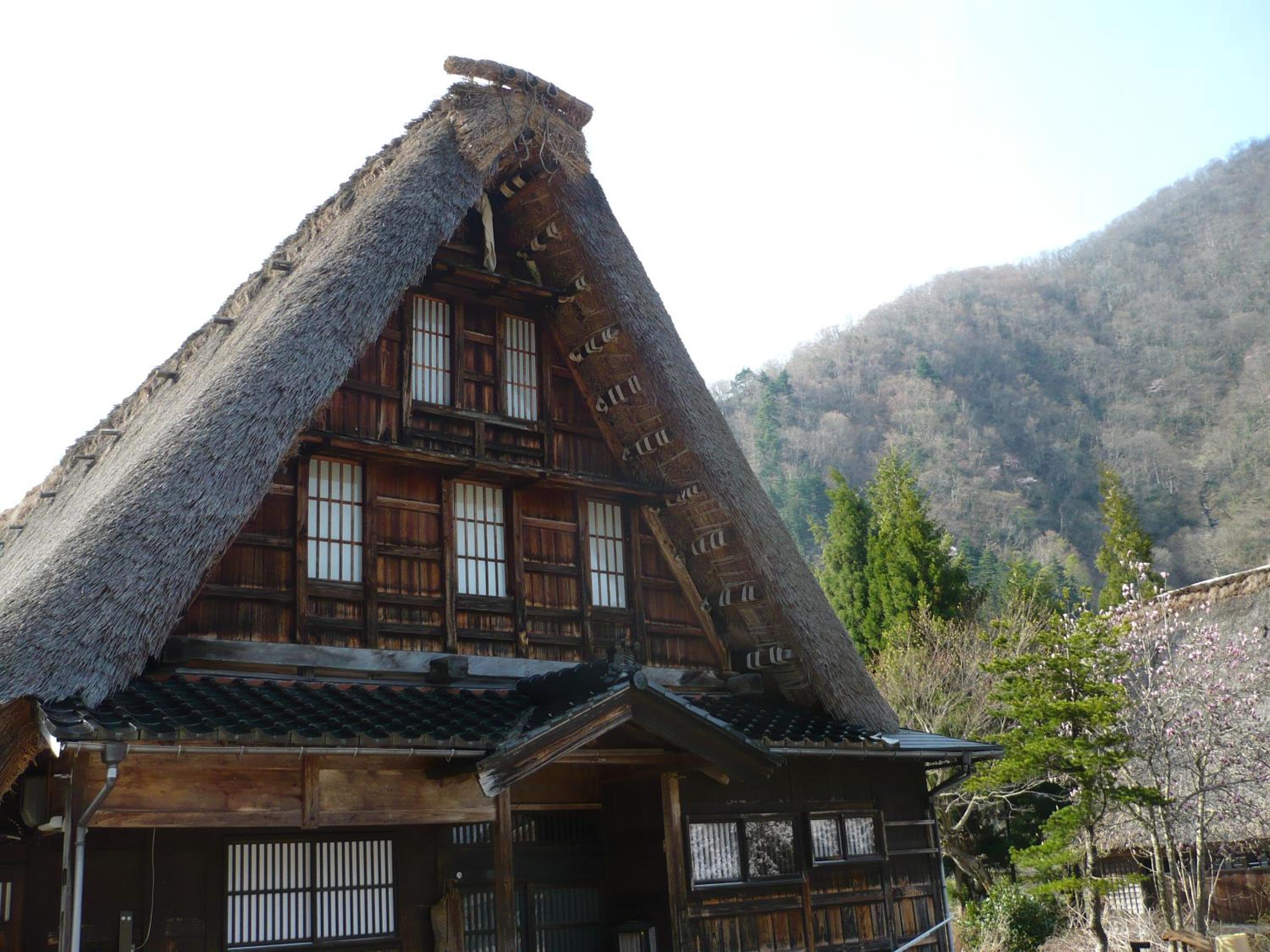 Photo 46