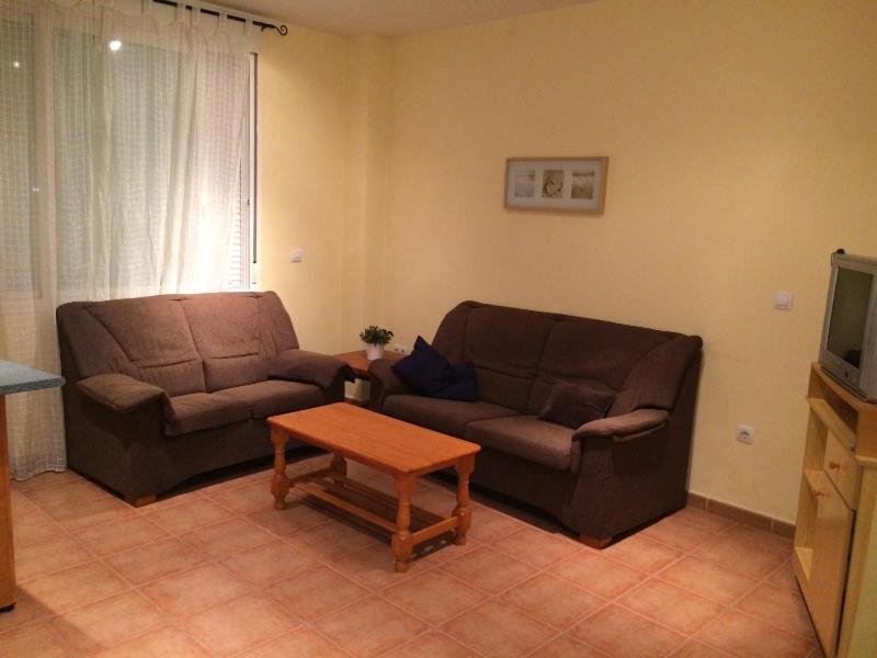 Apartamentos Creoli view 5