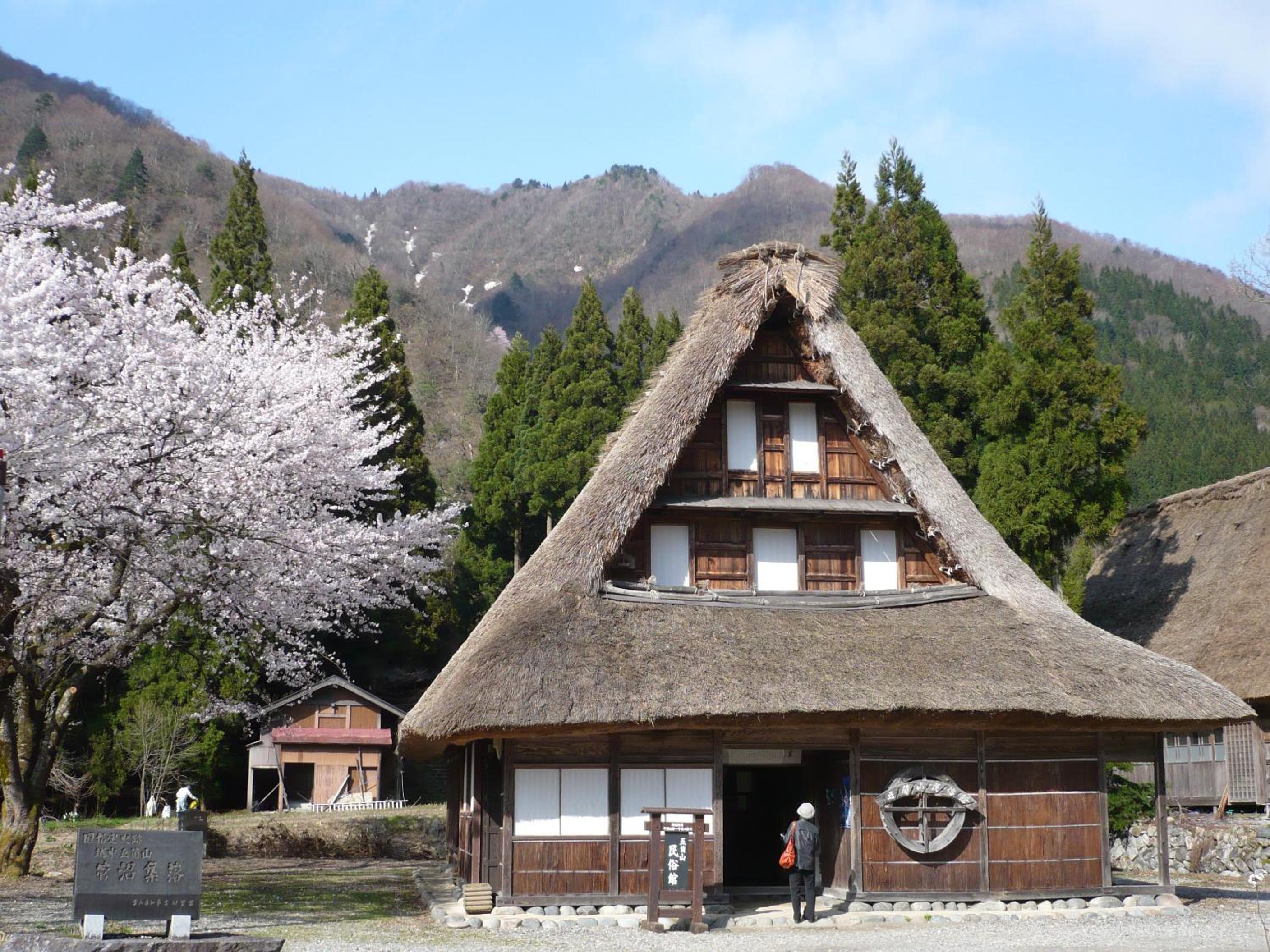 Photo 44