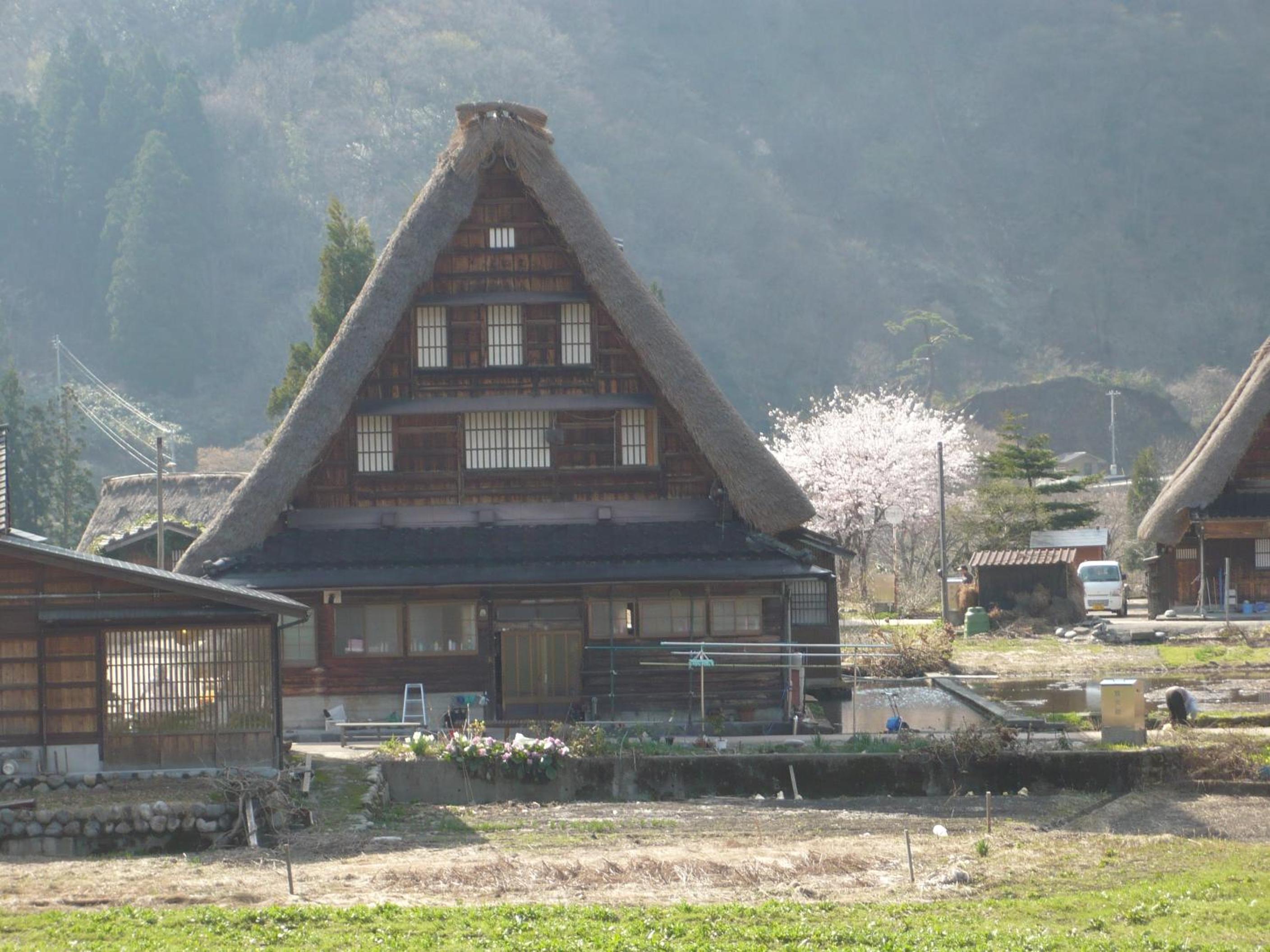 Photo 45