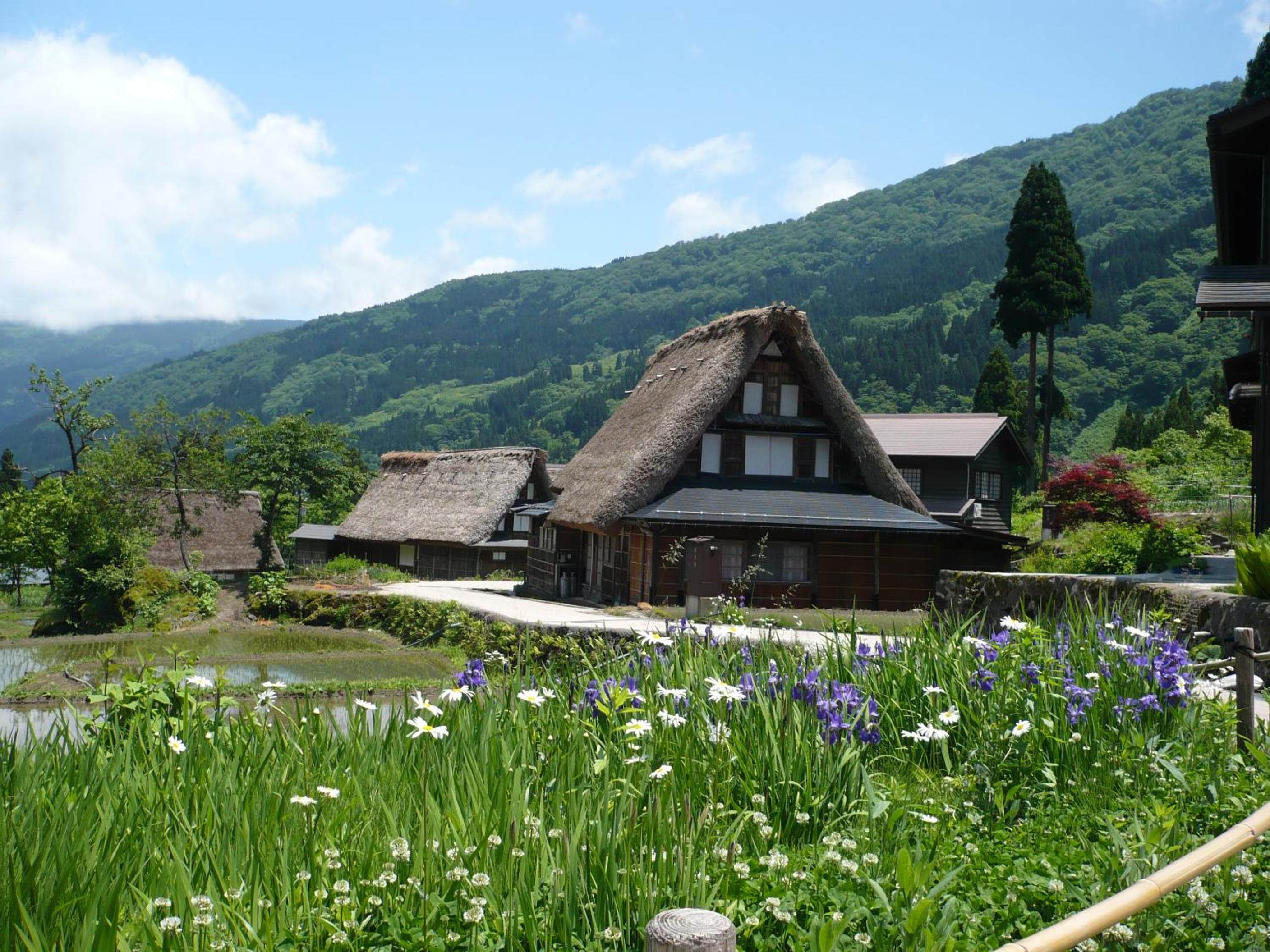 Photo 23