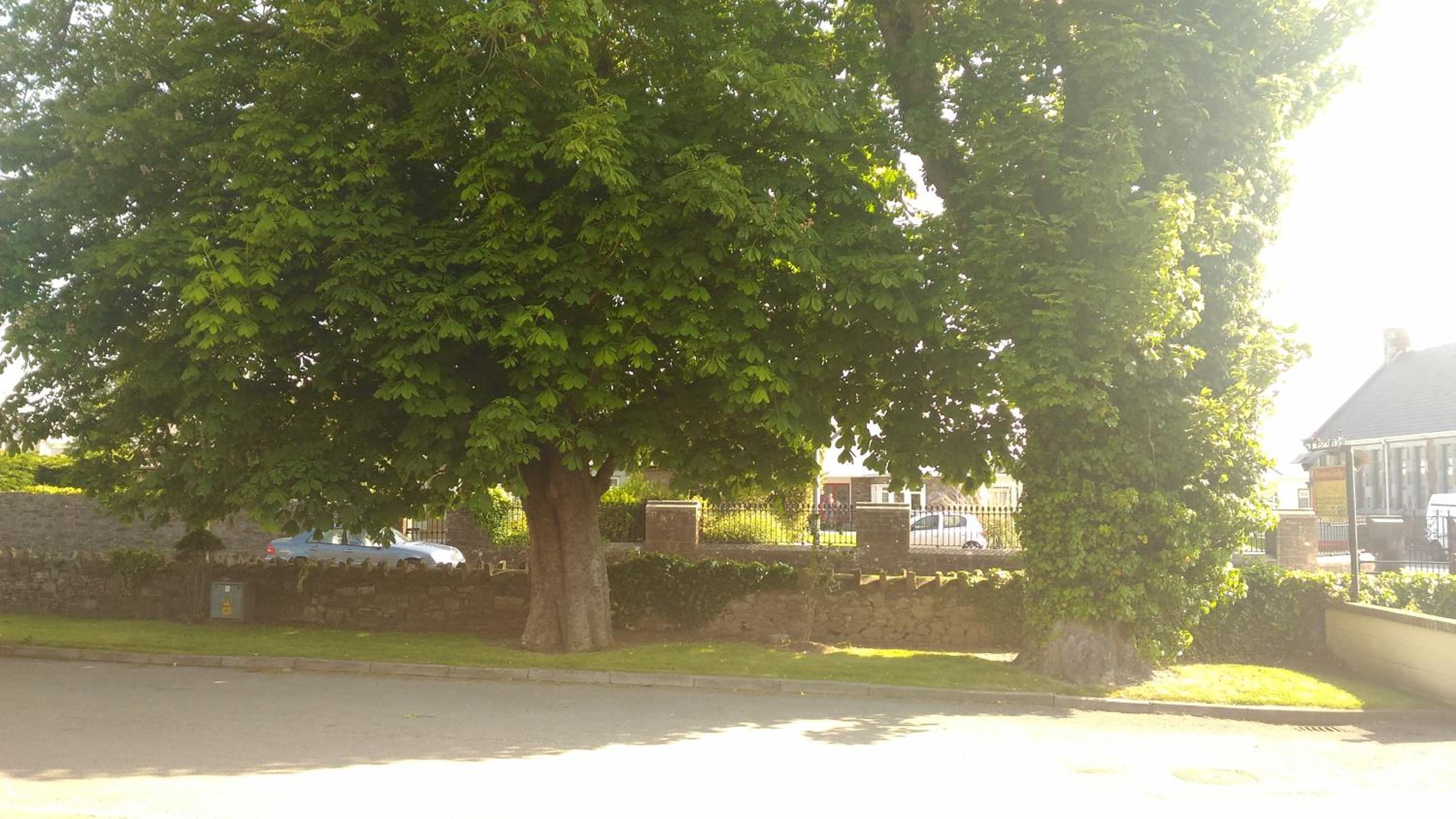 Photo 18