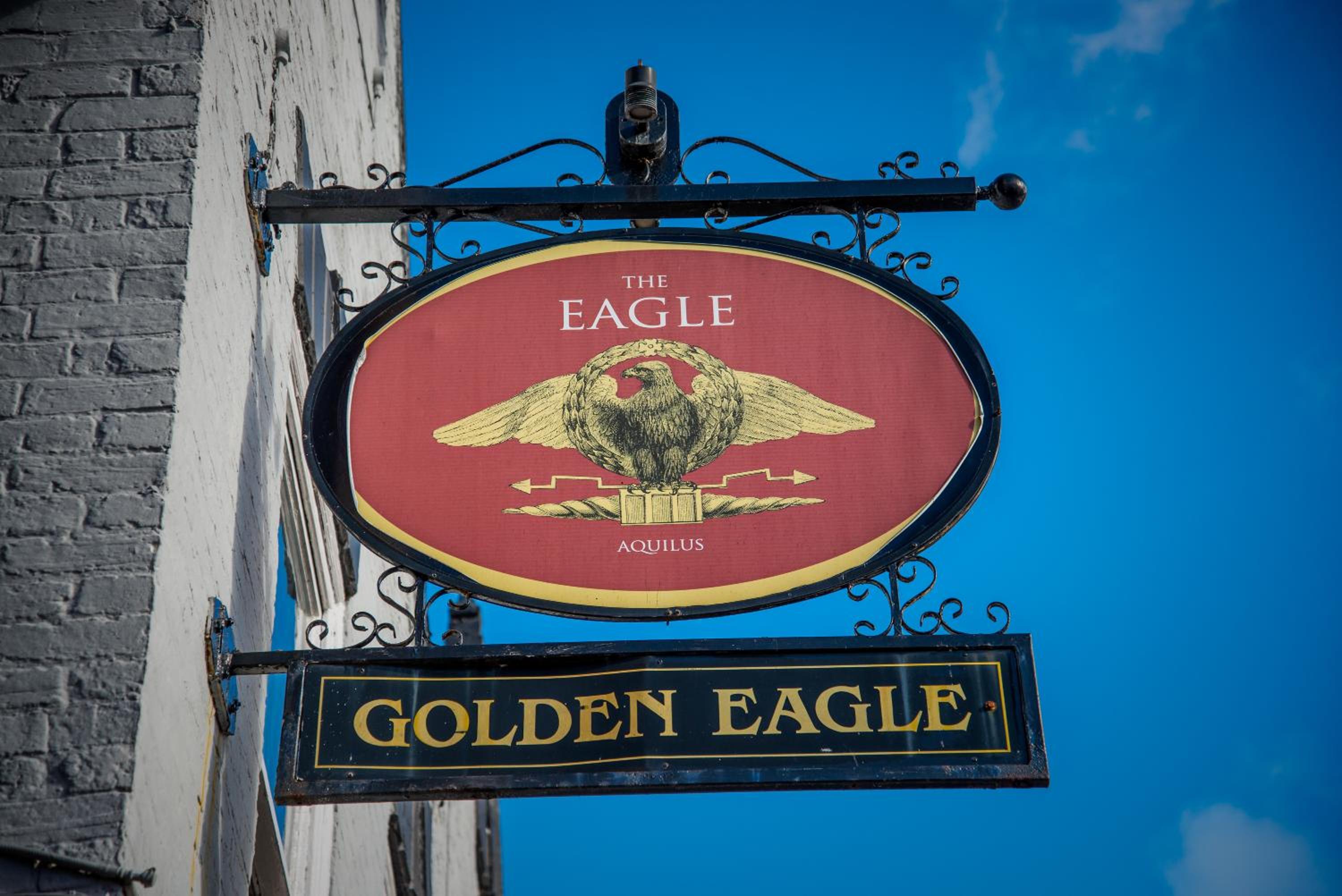 Golden Eagle