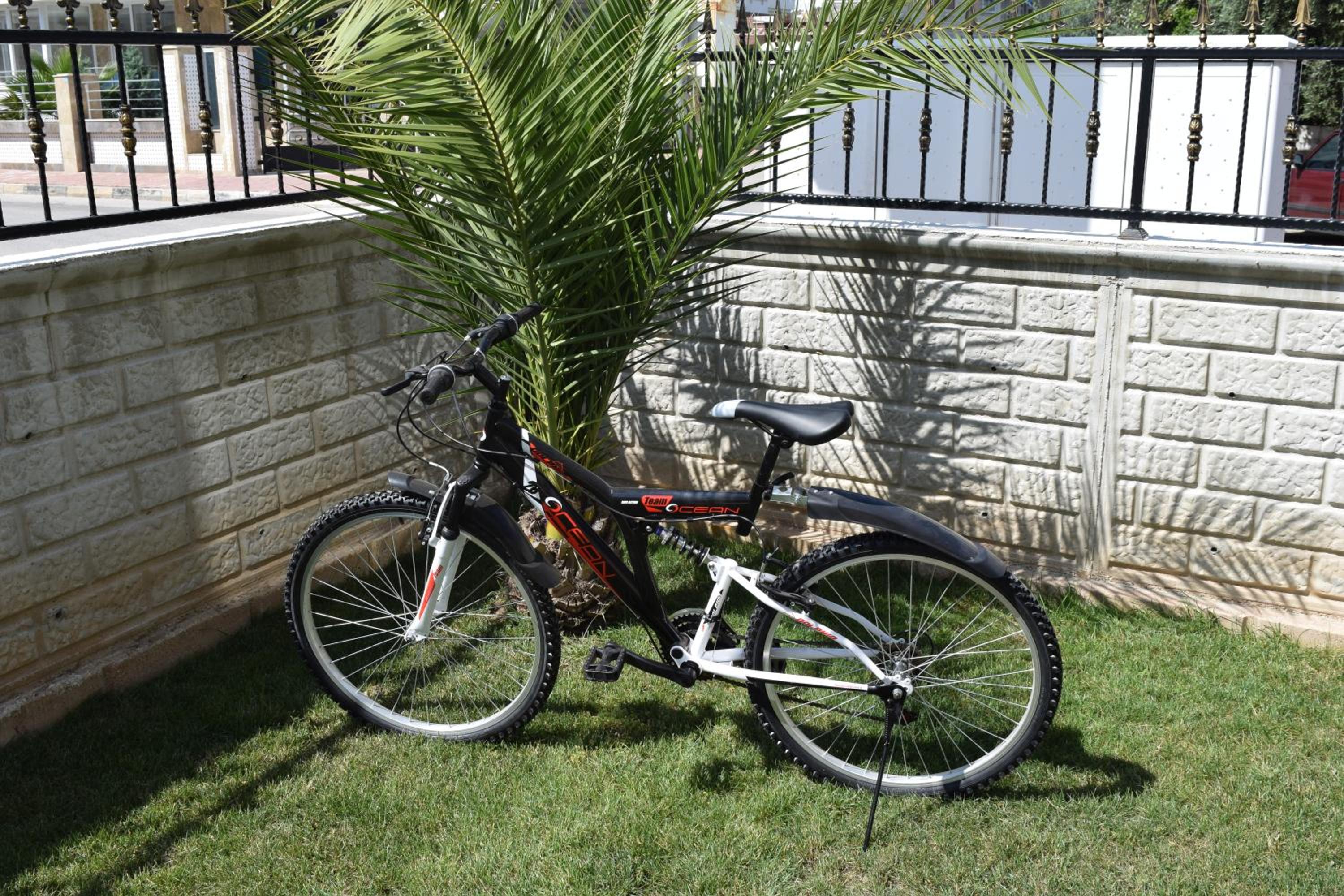 Güden-Pearl - Image 31