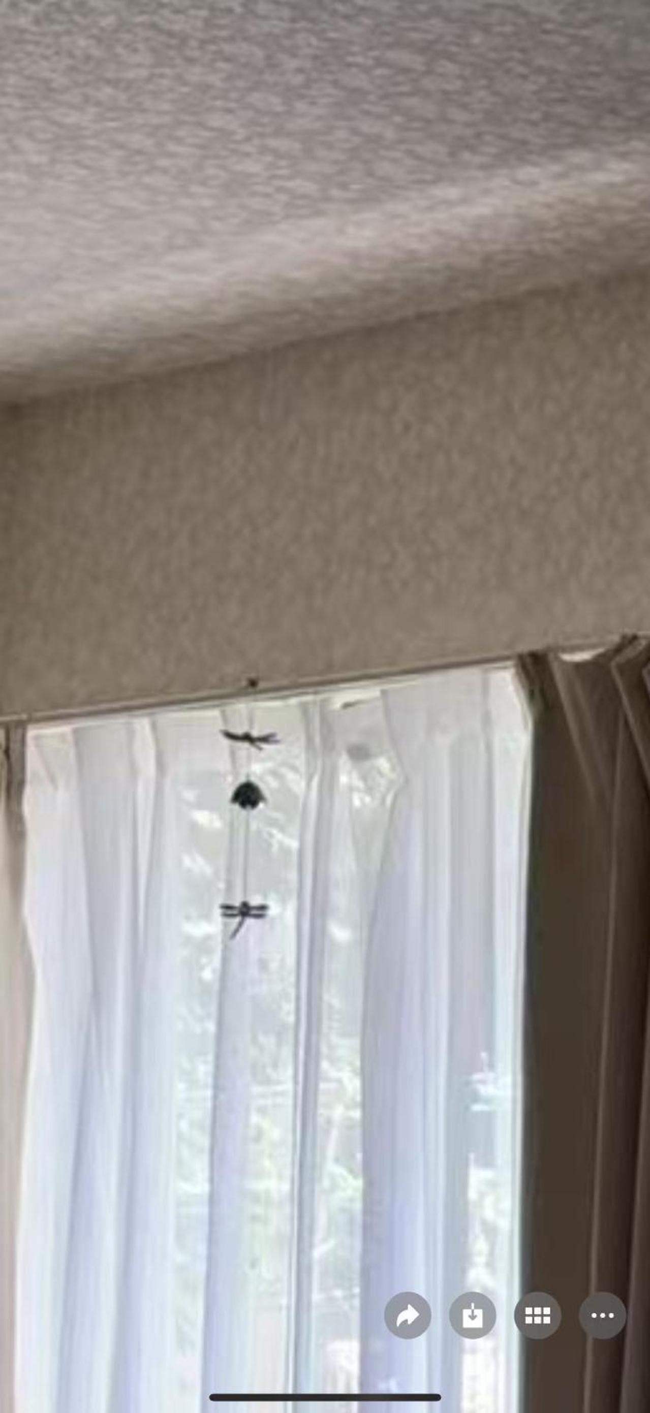 aiki house