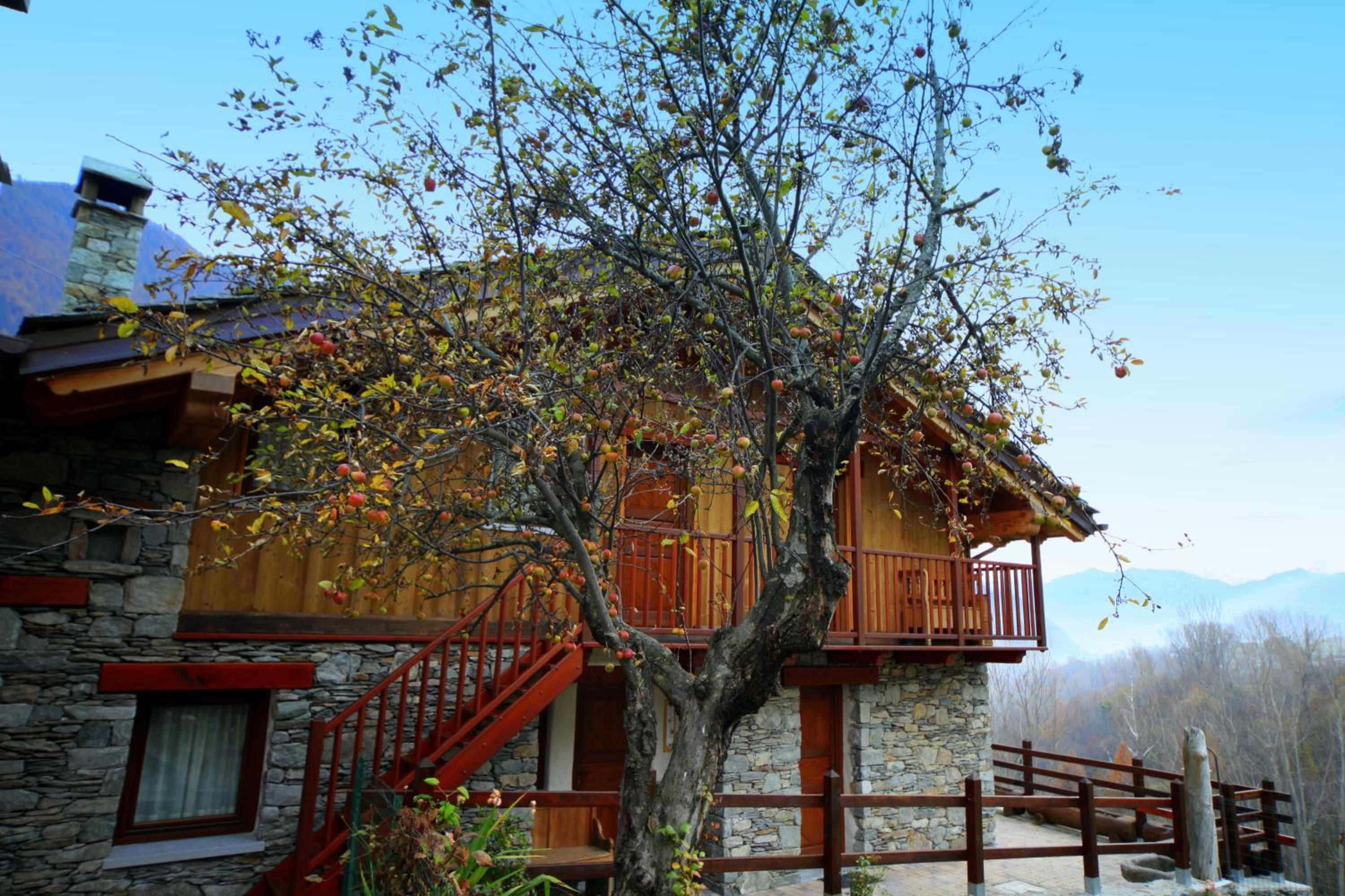 Eco Chalet Maison Dominique view 3
