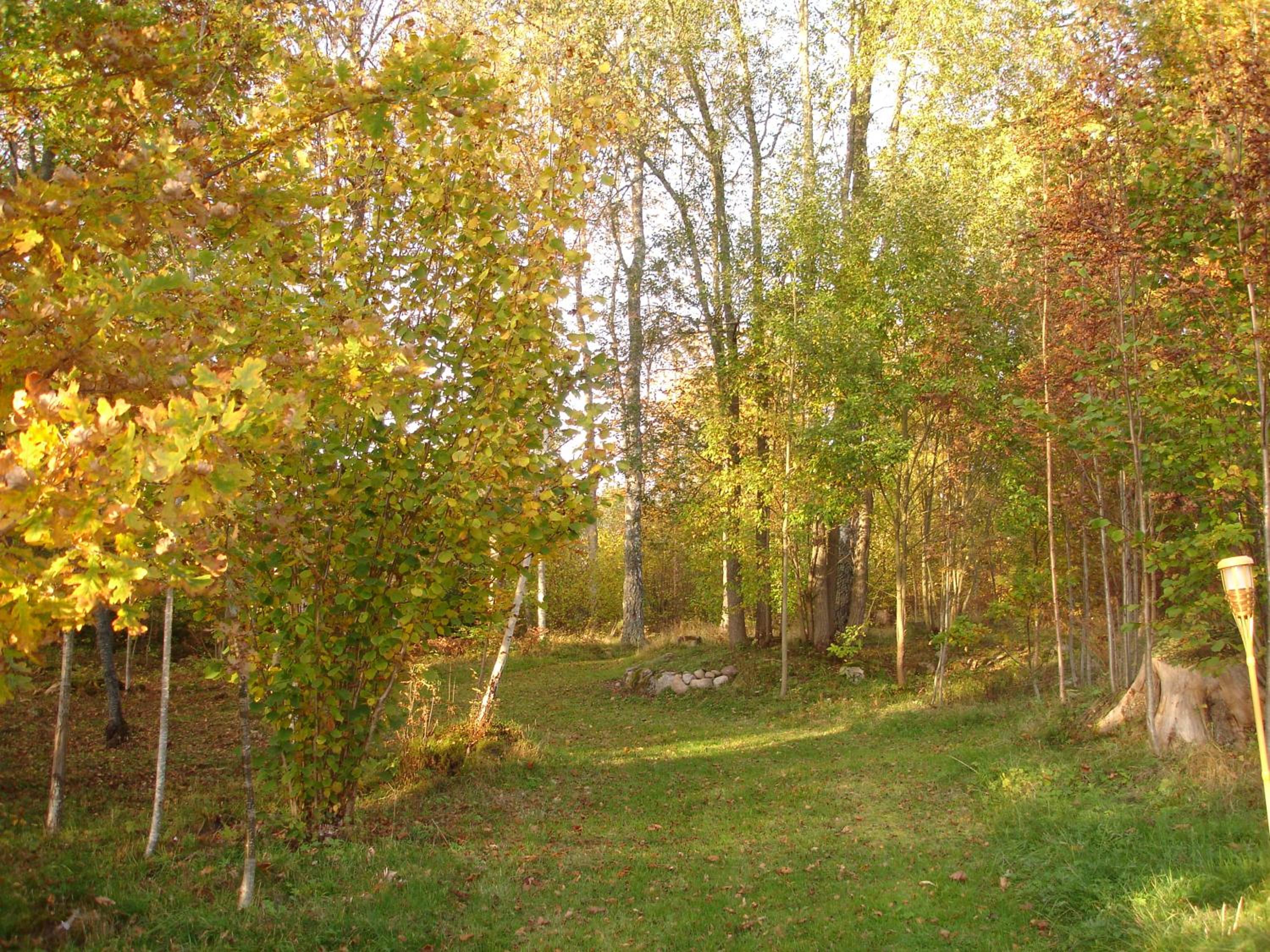 Photo 10