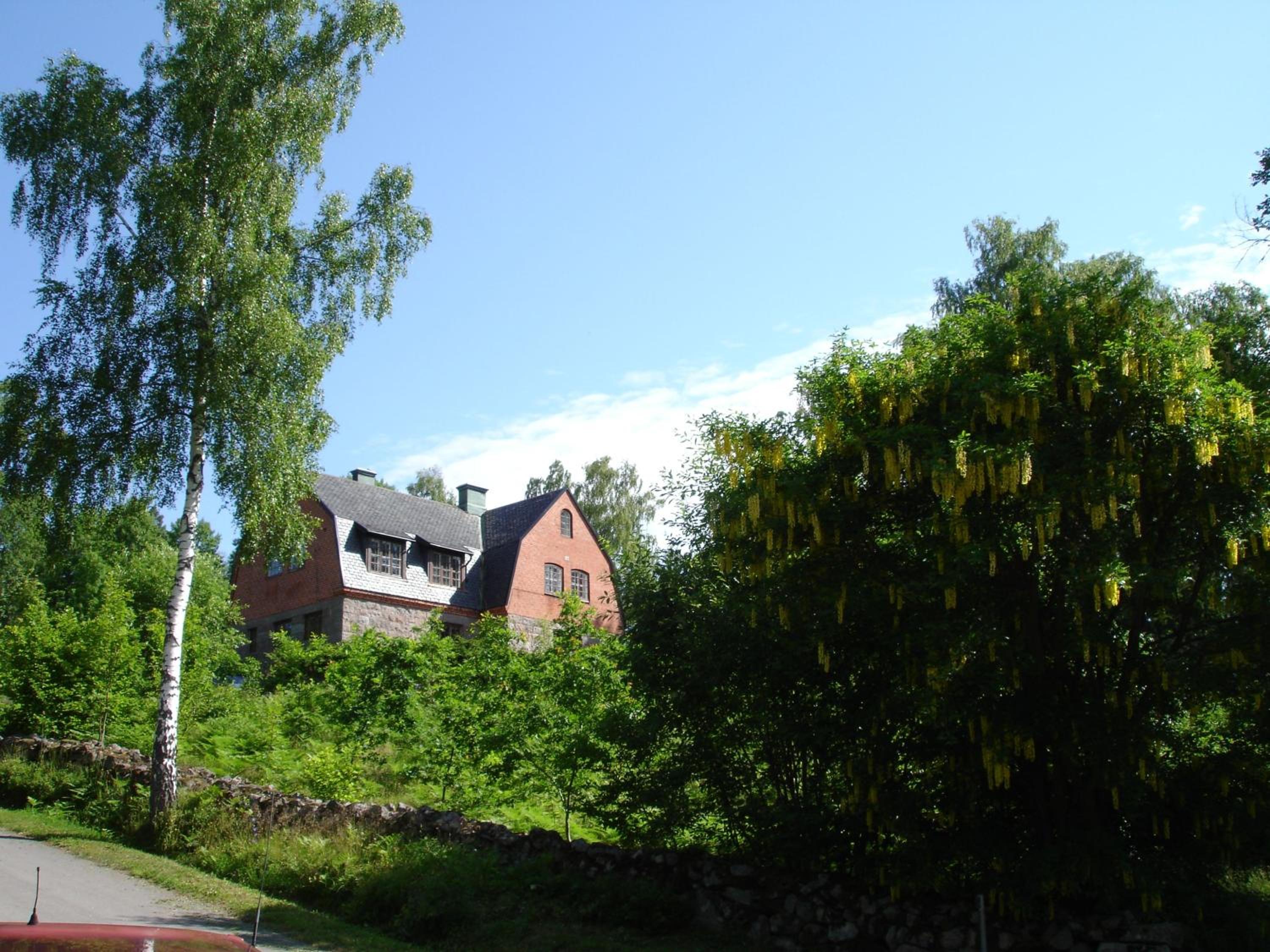 Photo 11