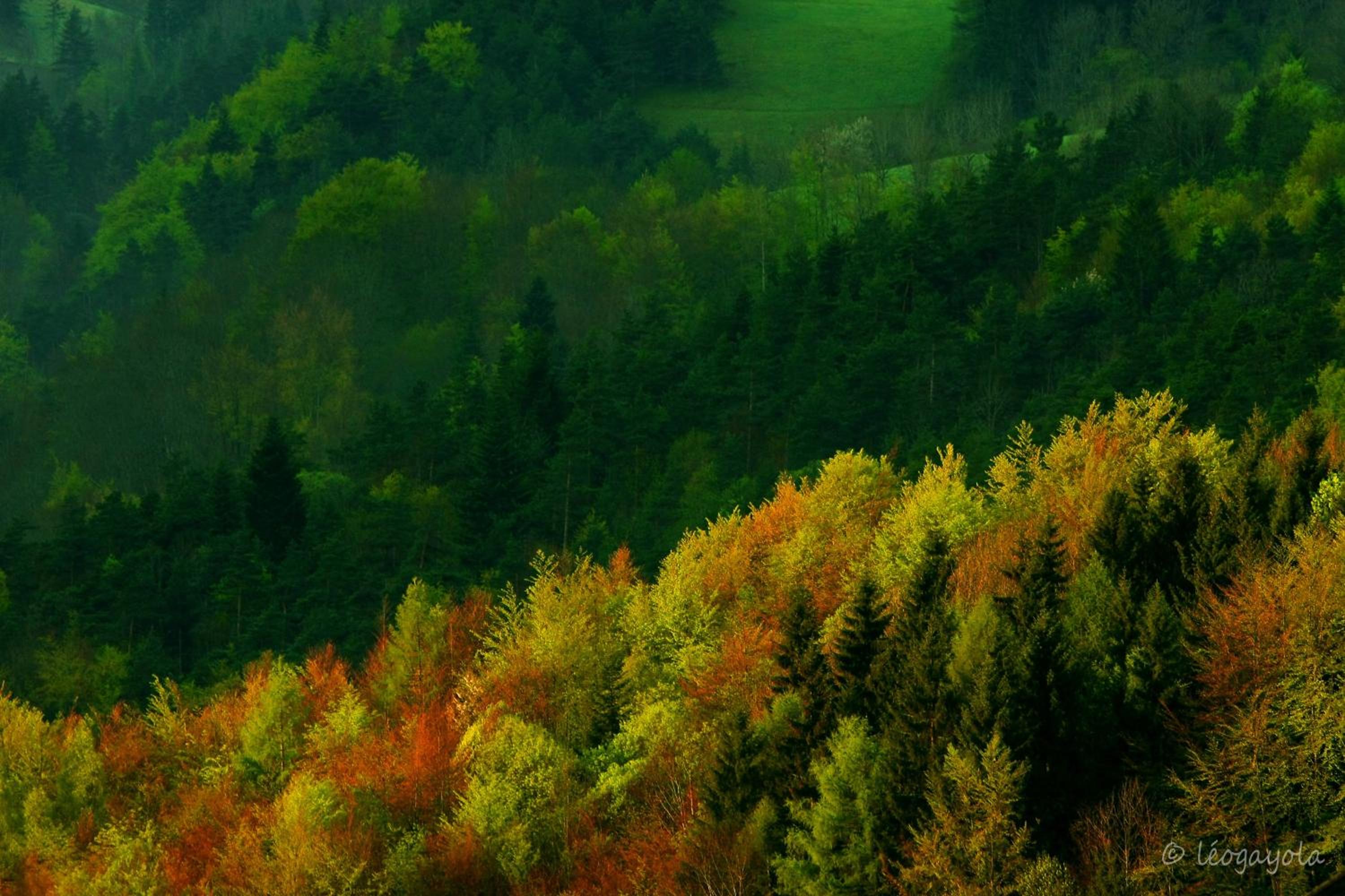 Photo 47