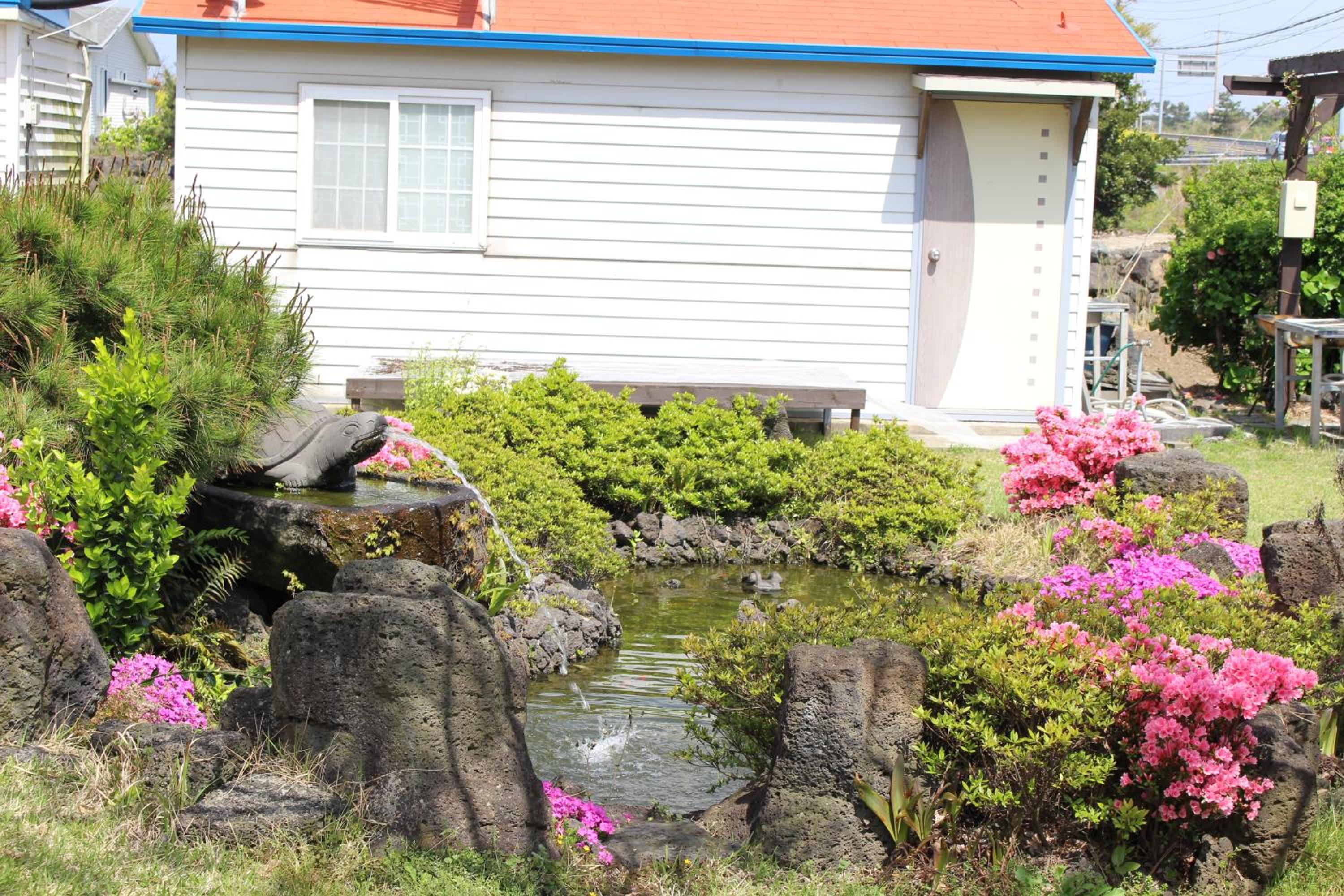 Jeju Feel House