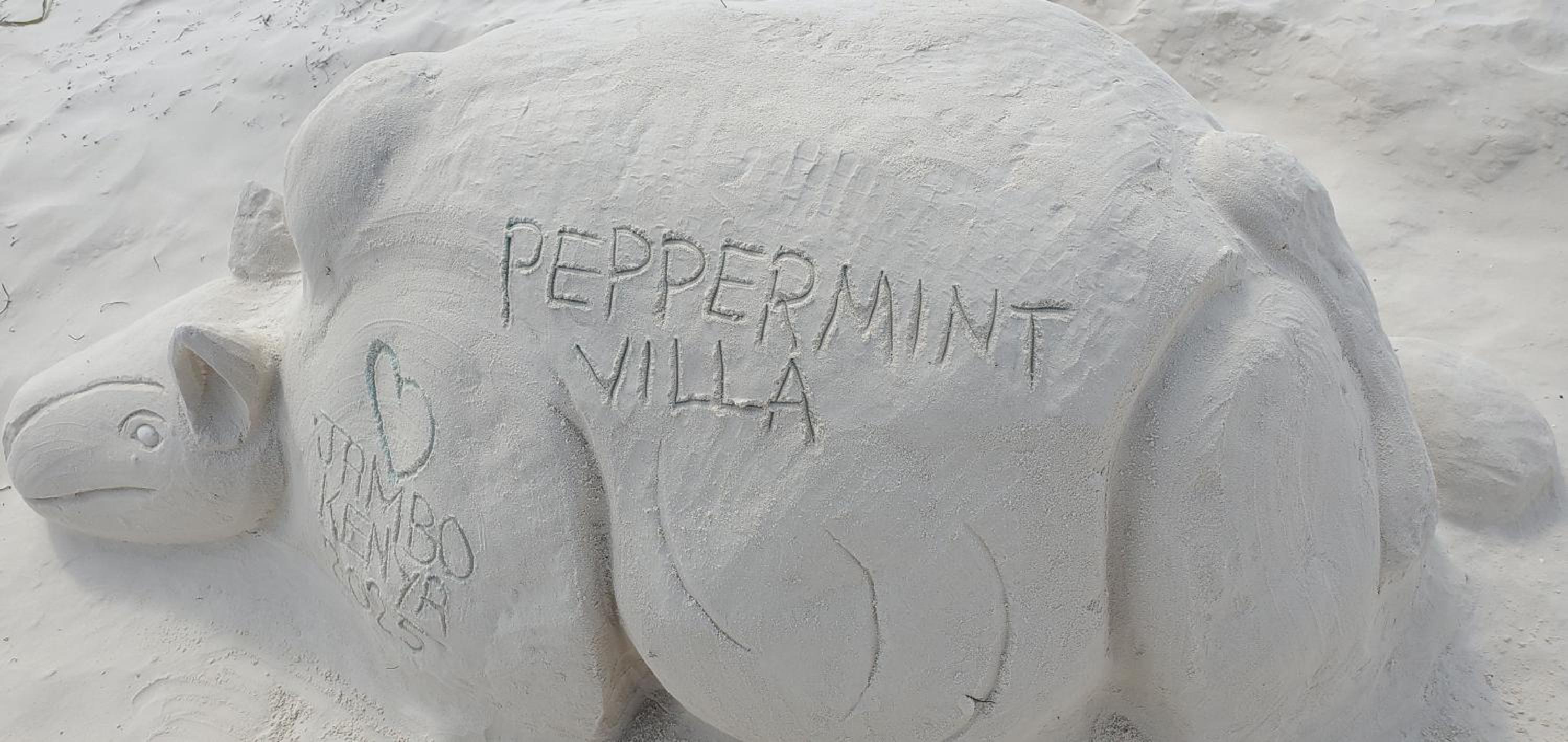 Peppermint luxury villa - DIANI
