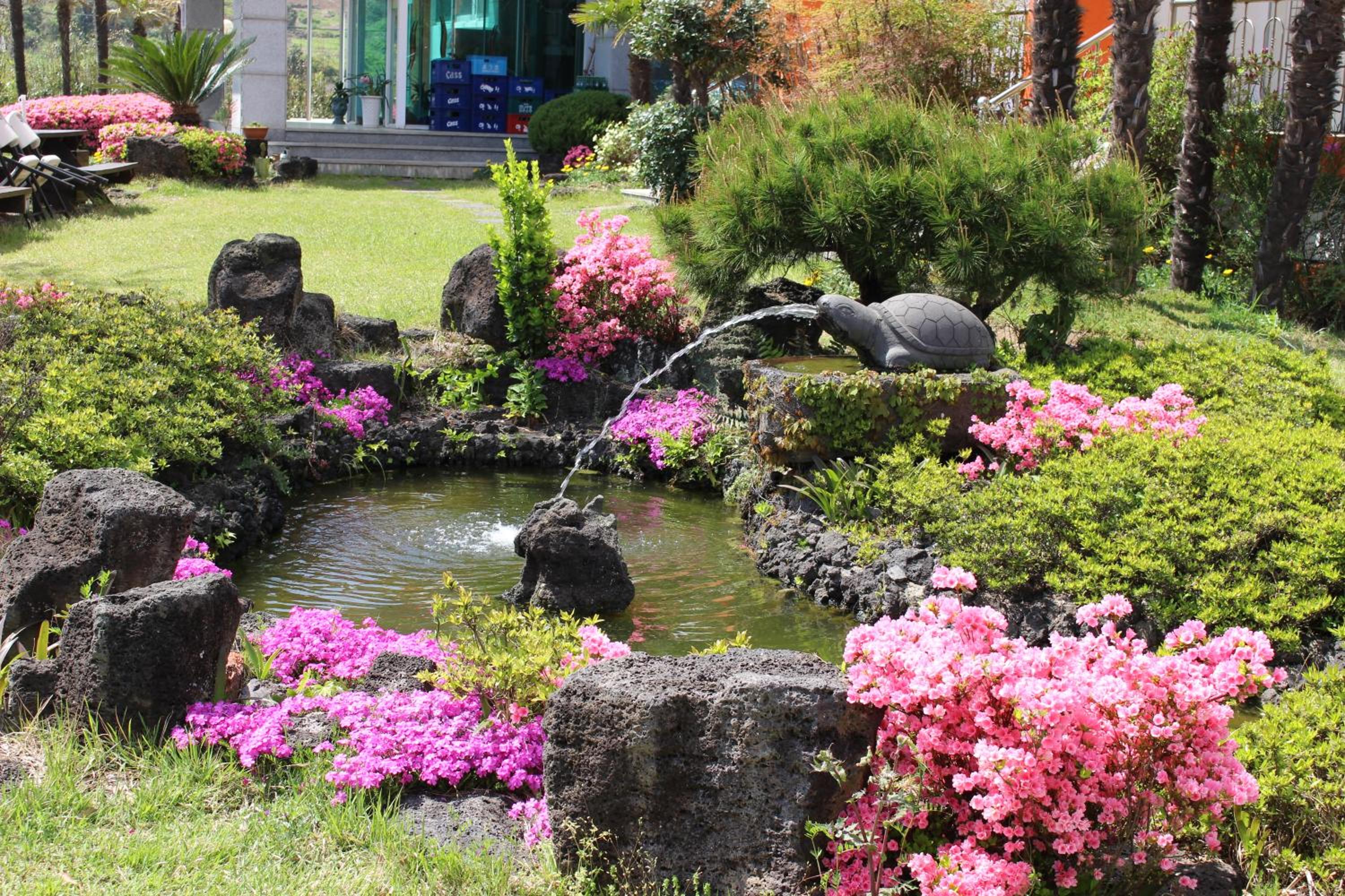 Jeju Feel House