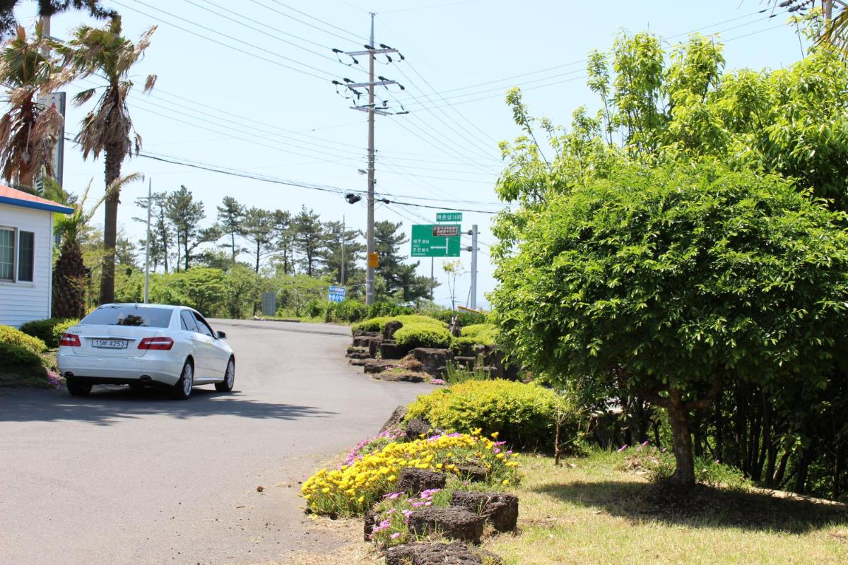 Jeju Feel House