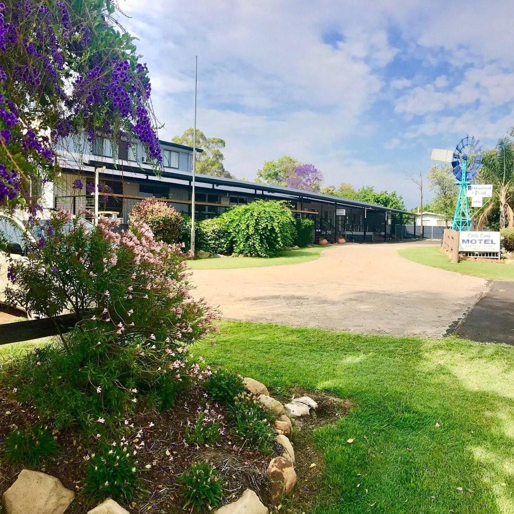 Cattle Camp Motel