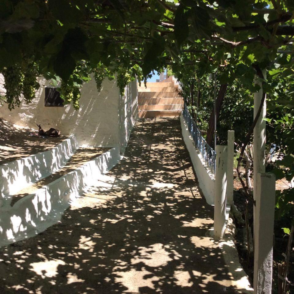 Photo 34