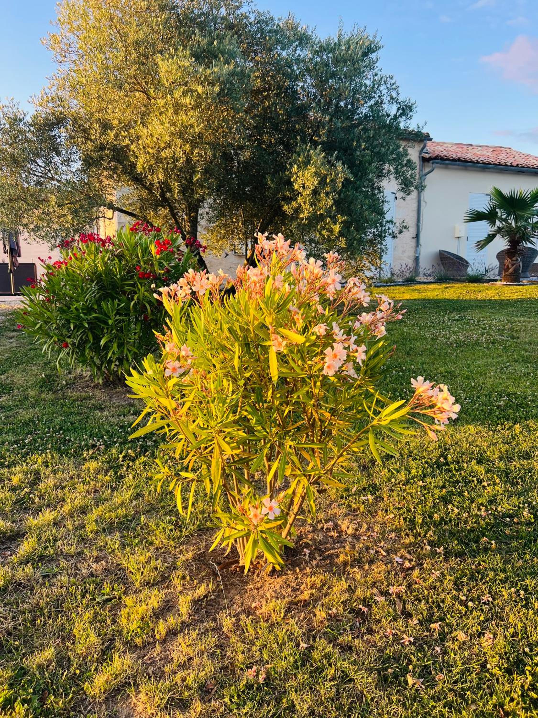 Luxury home private duras