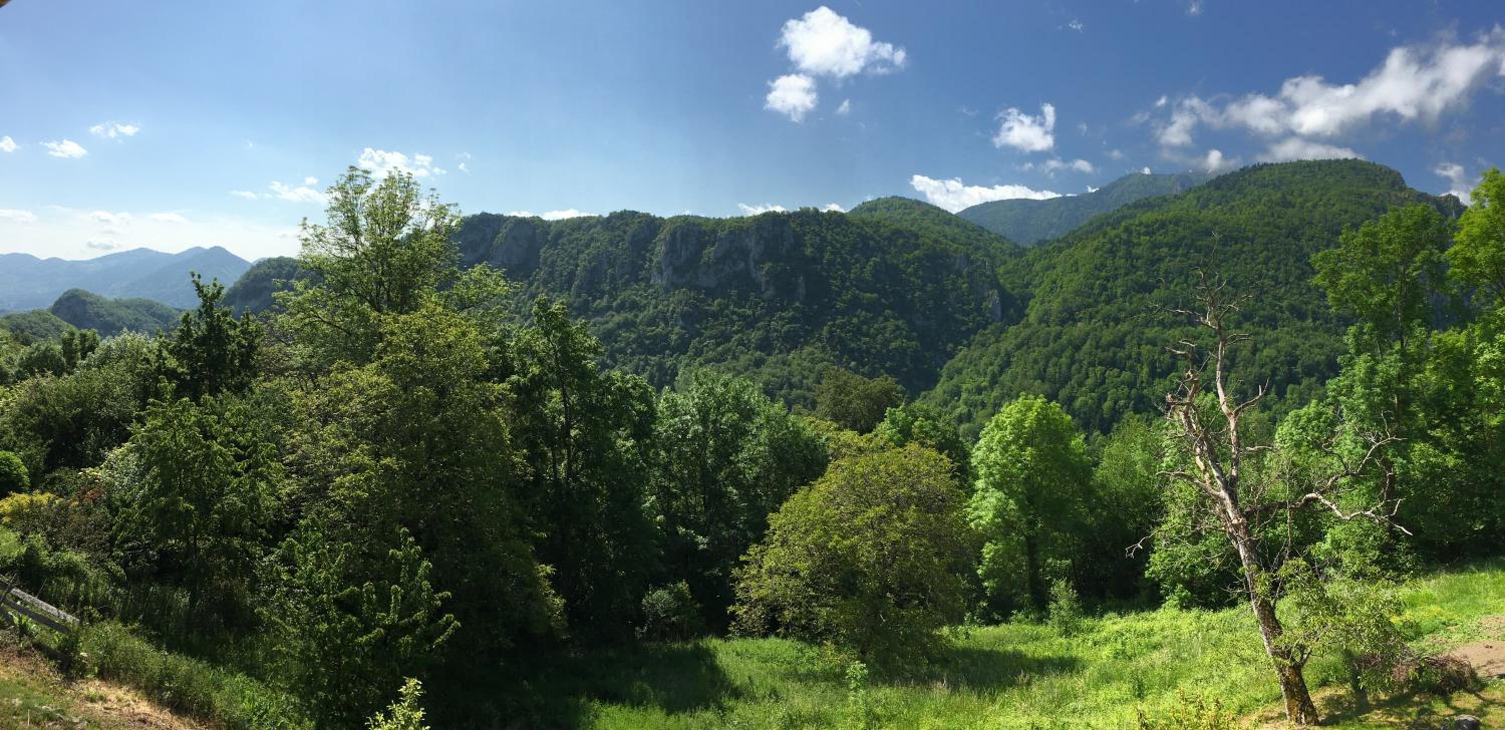 Gite de Serrelongue view 4