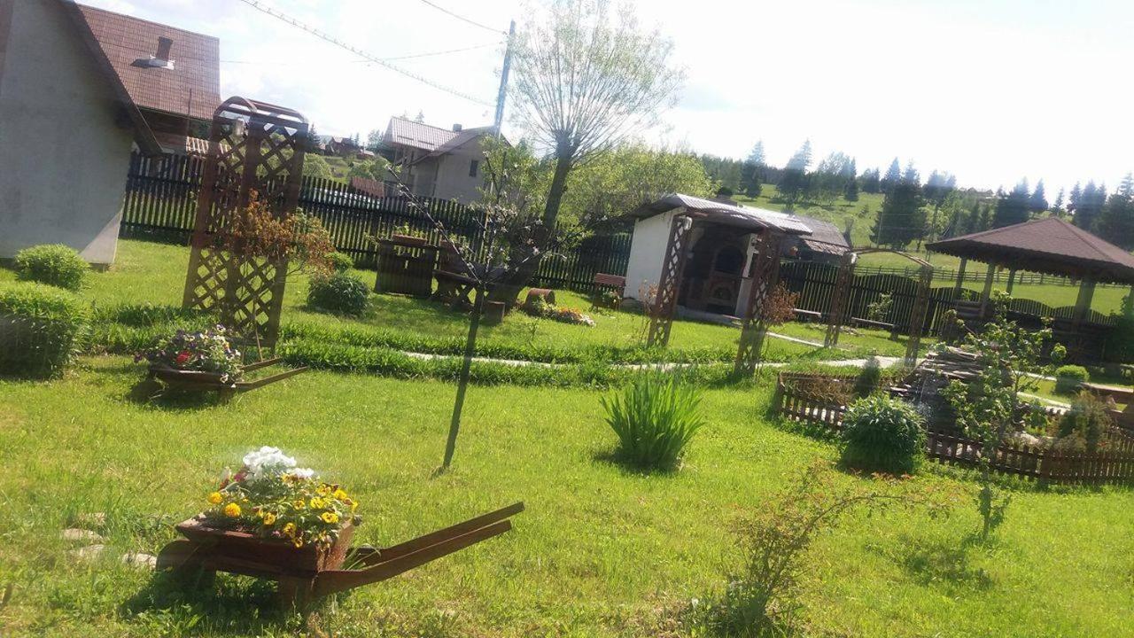 Photo 24