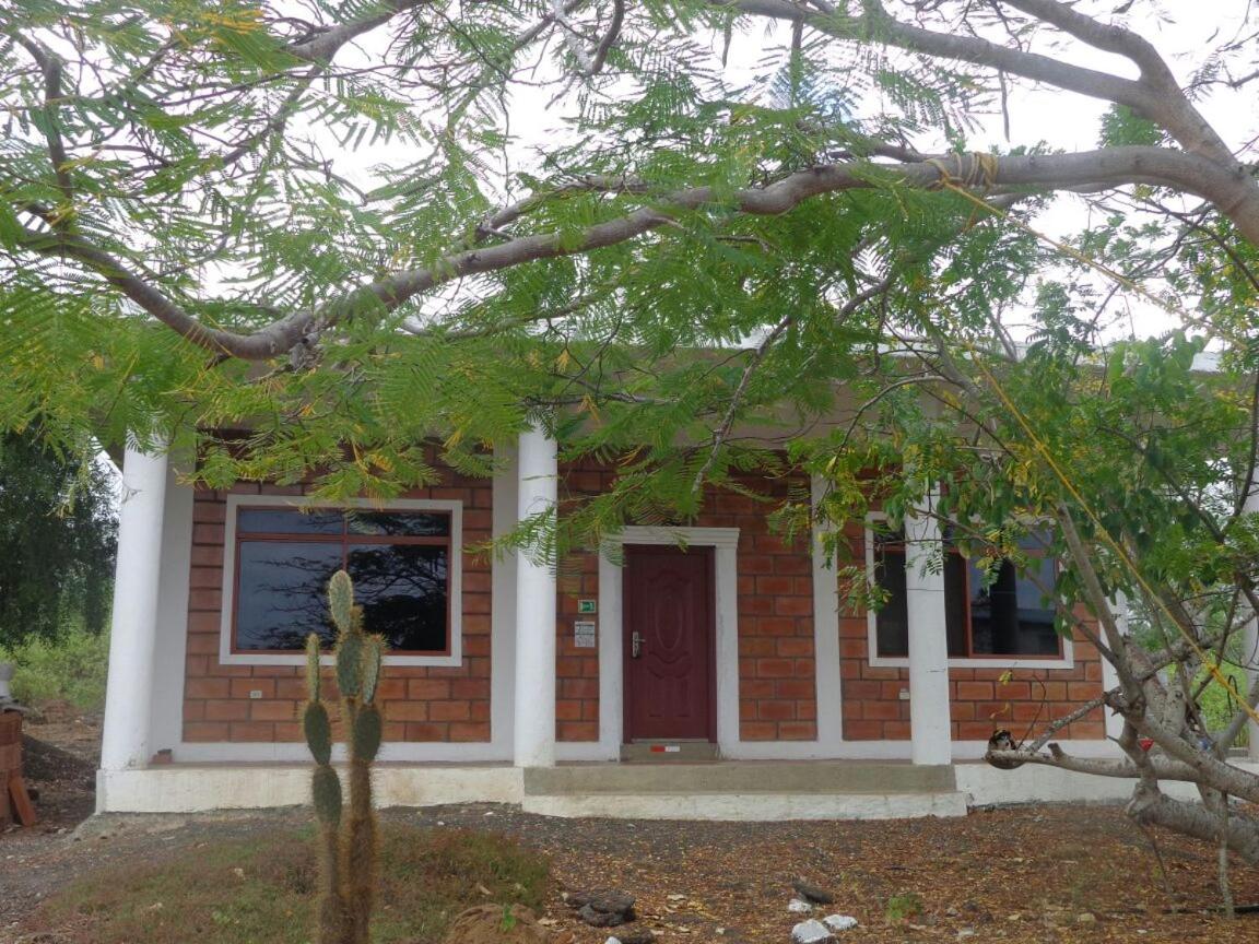 Photo 48
