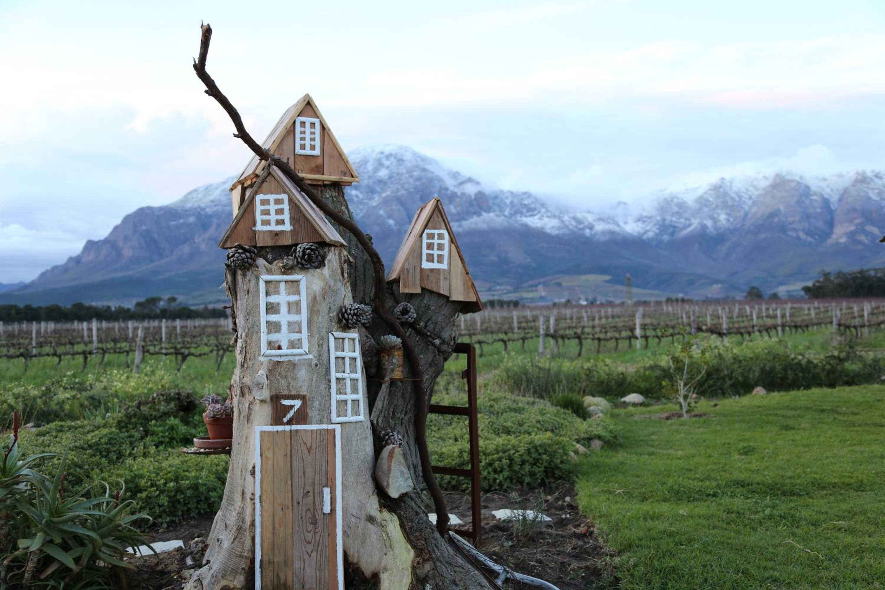 Seven Oaks Vineyard Cottages