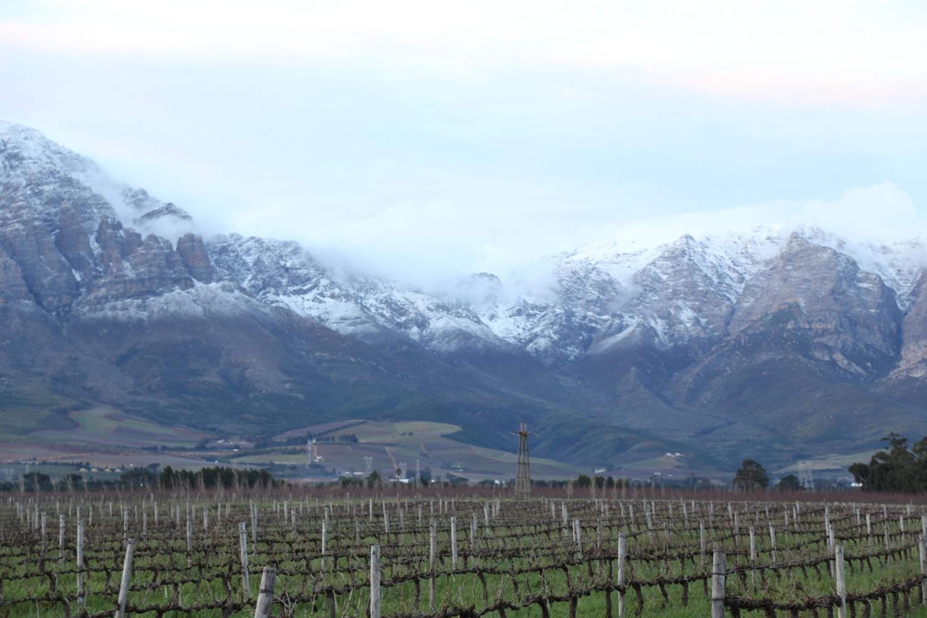 Seven Oaks Vineyard Cottages