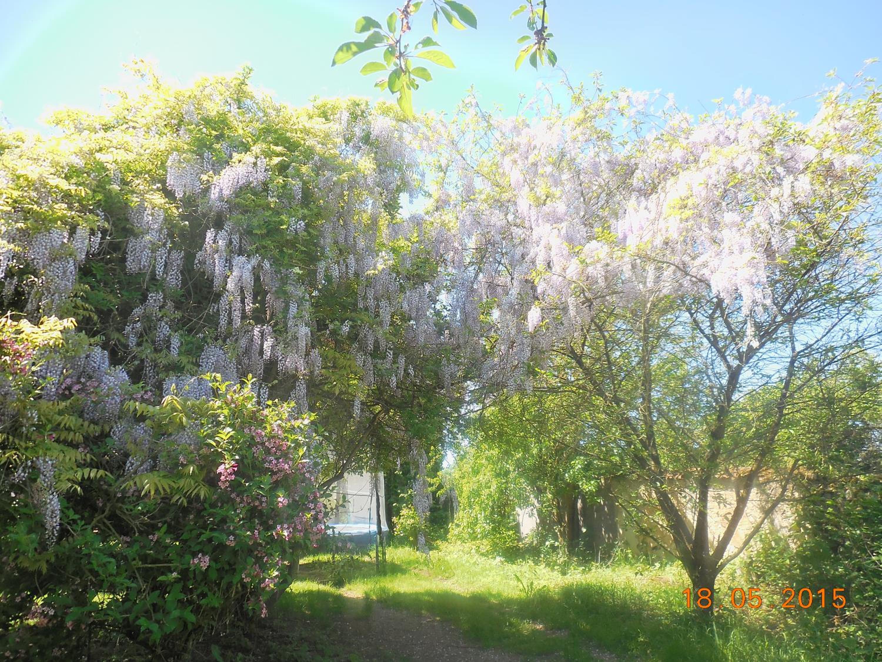Photo 39