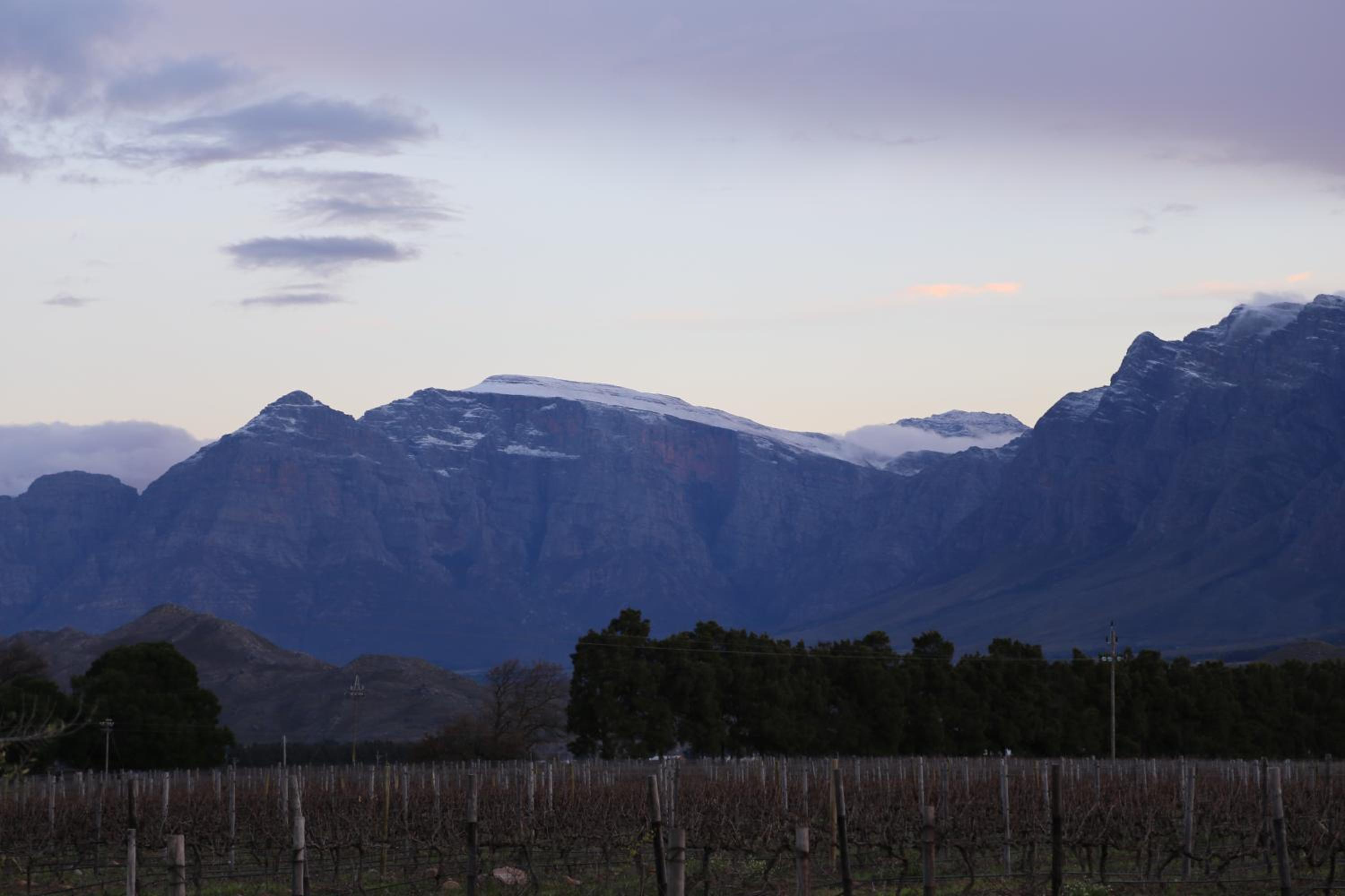 Seven Oaks Vineyard Cottages