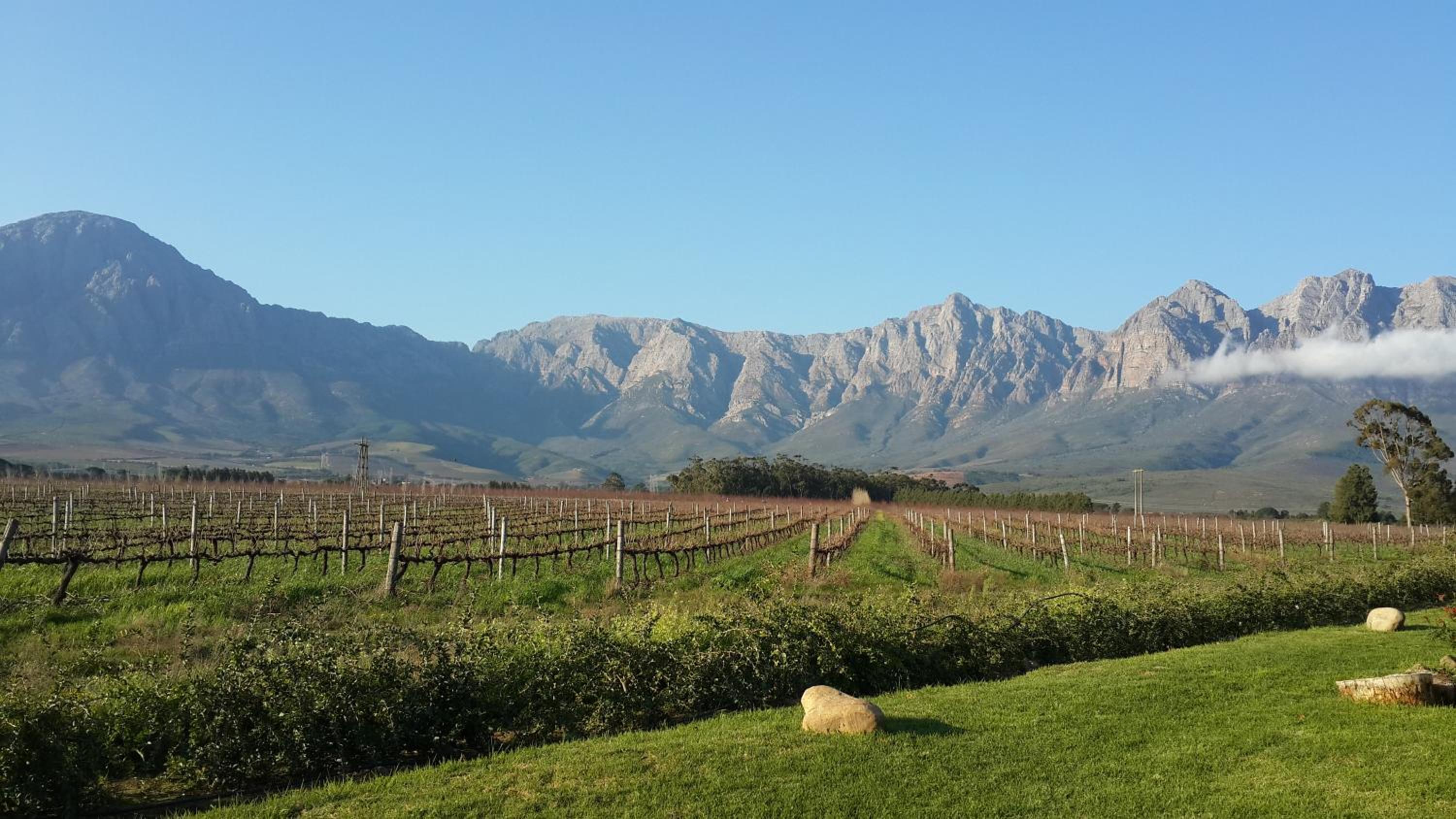 Seven Oaks Vineyard Cottages