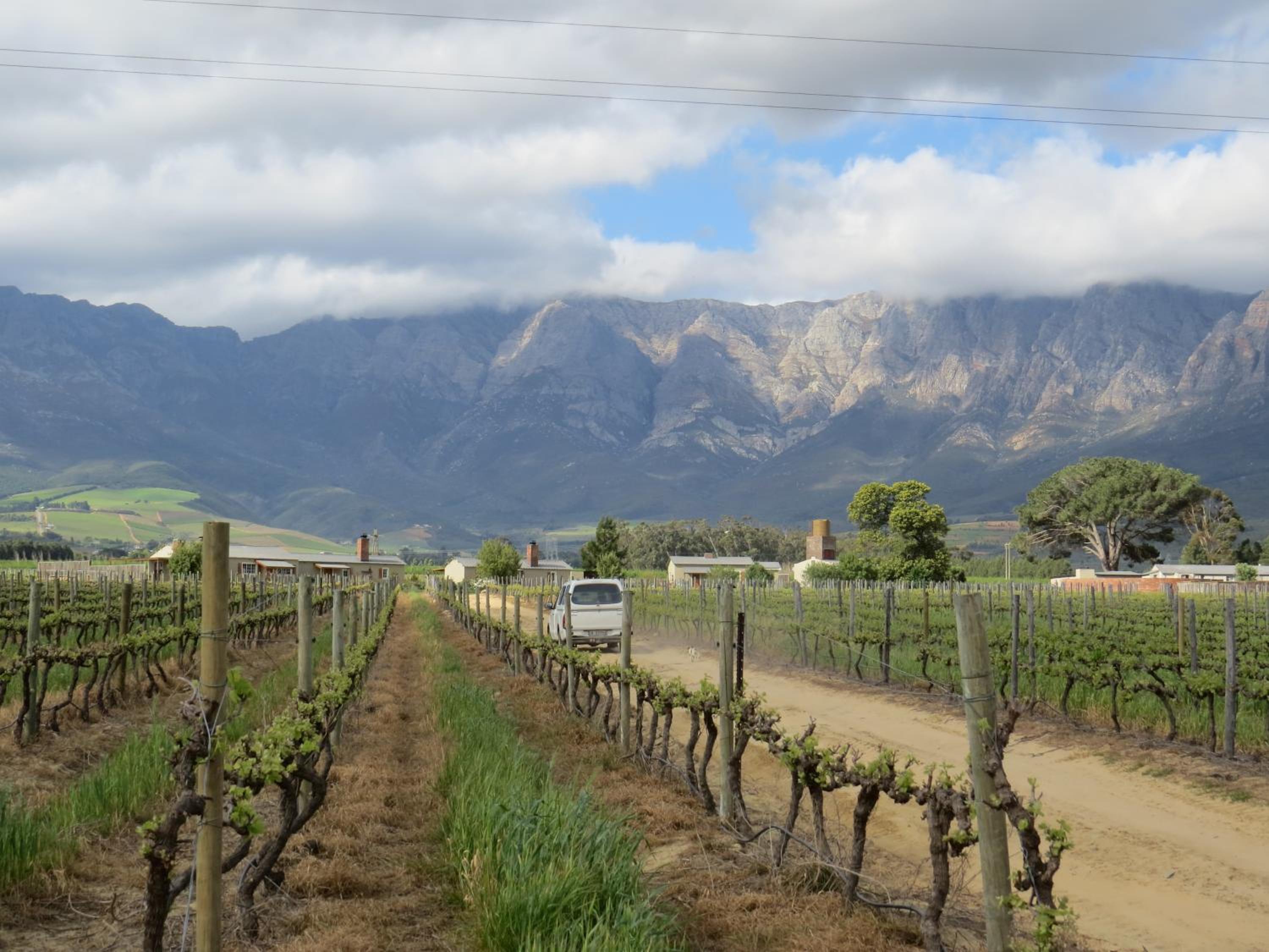 Seven Oaks Vineyard Cottages