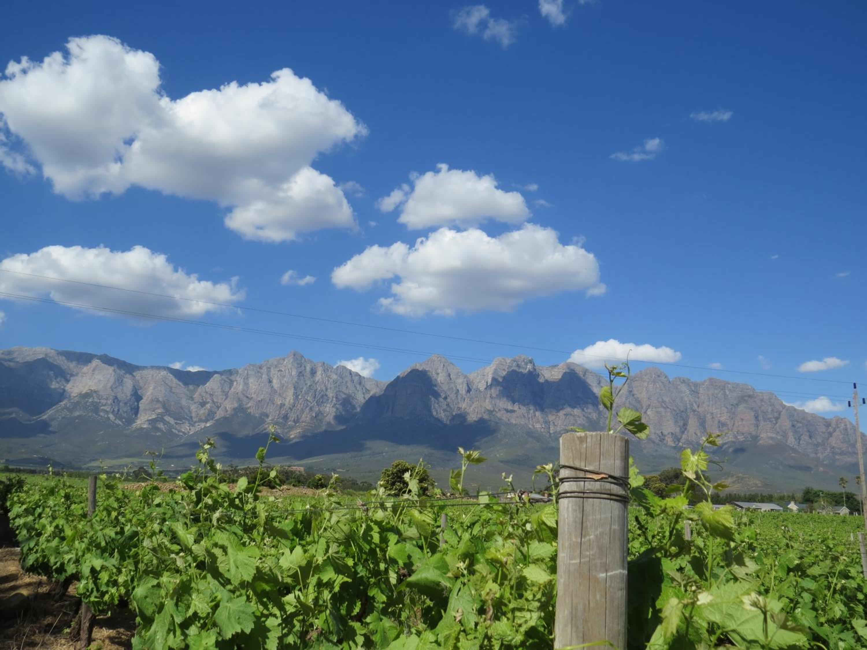 Seven Oaks Vineyard Cottages