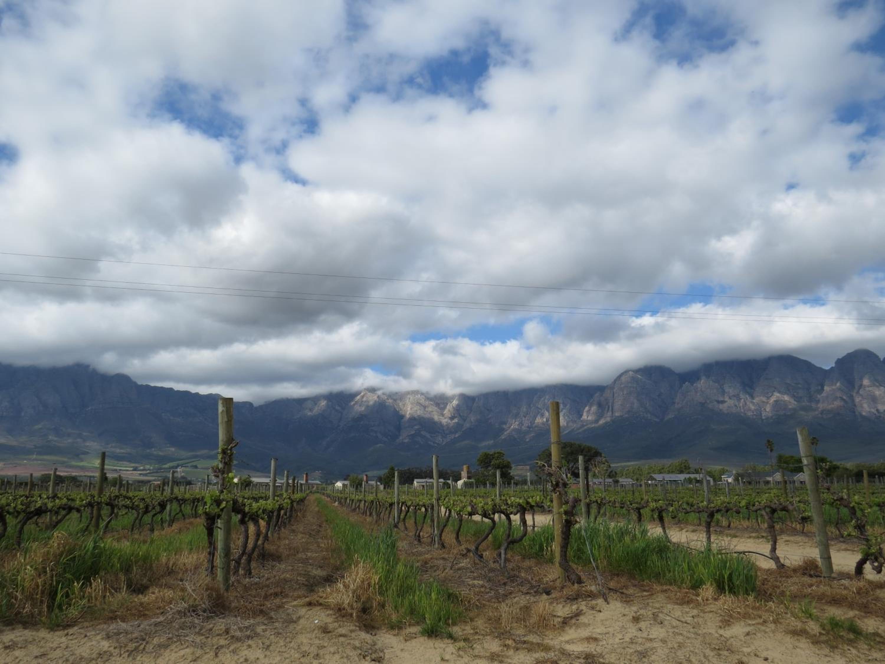 Seven Oaks Vineyard Cottages