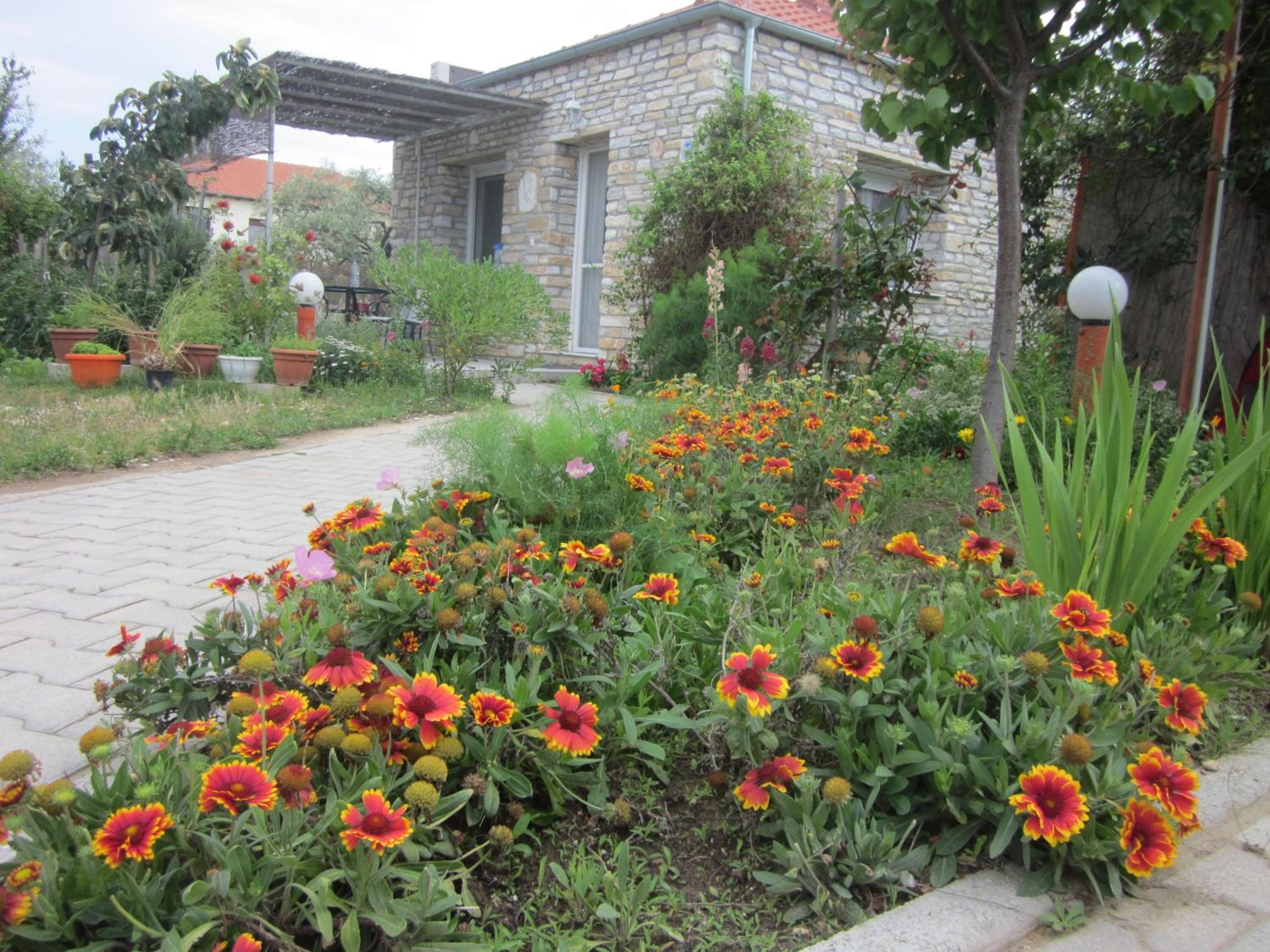 Photo 25