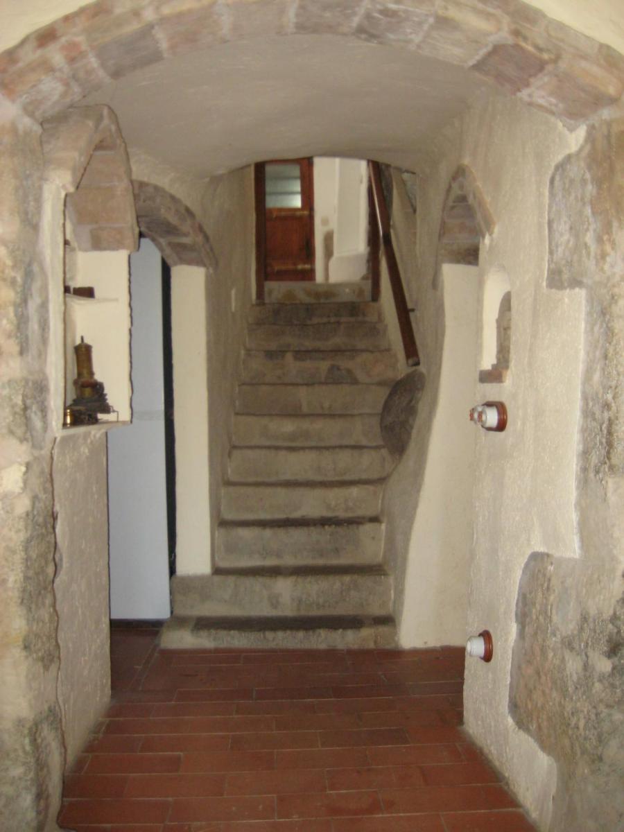 Photo 113