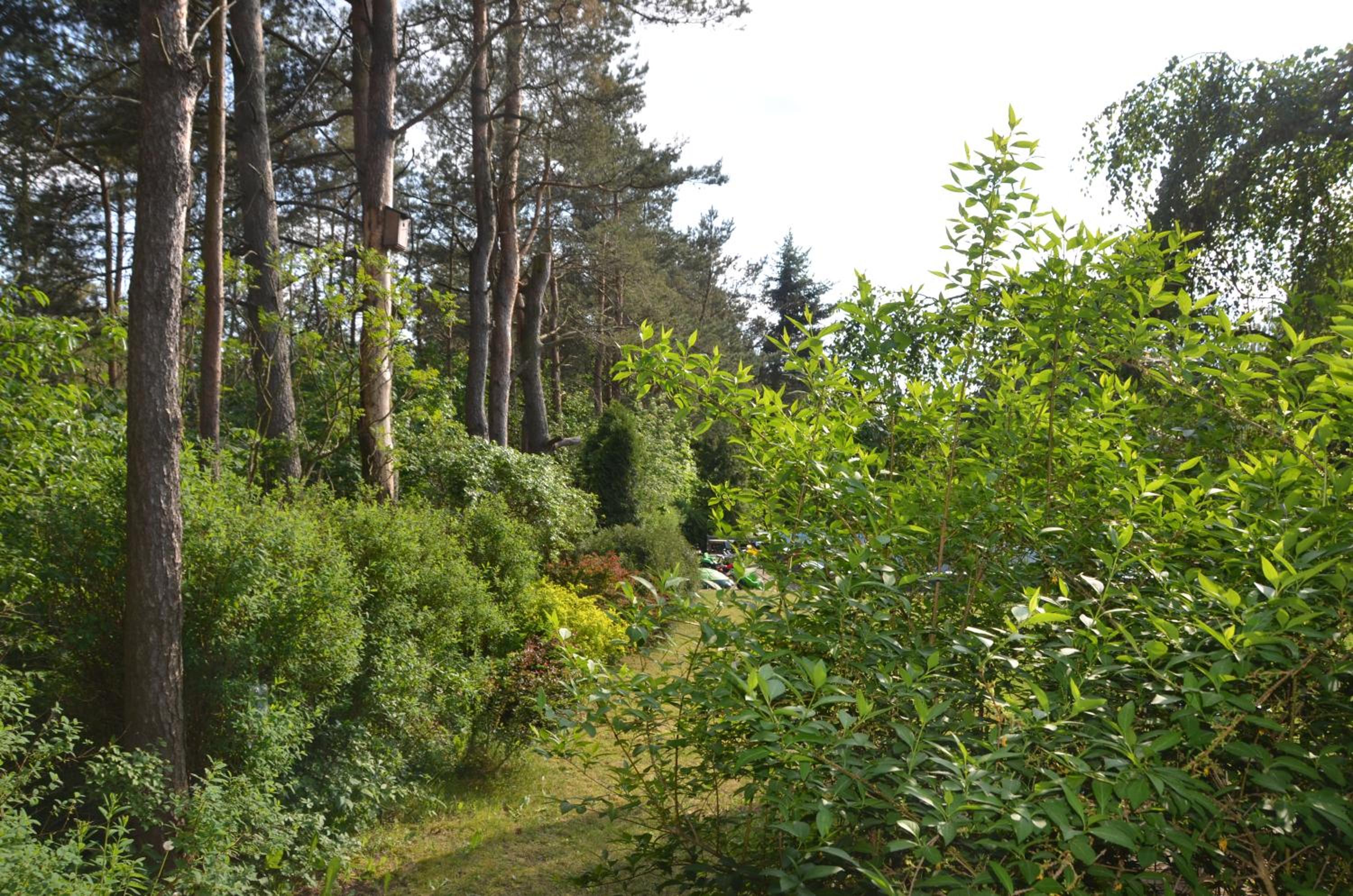 Holiday Villa Żuromino view 3