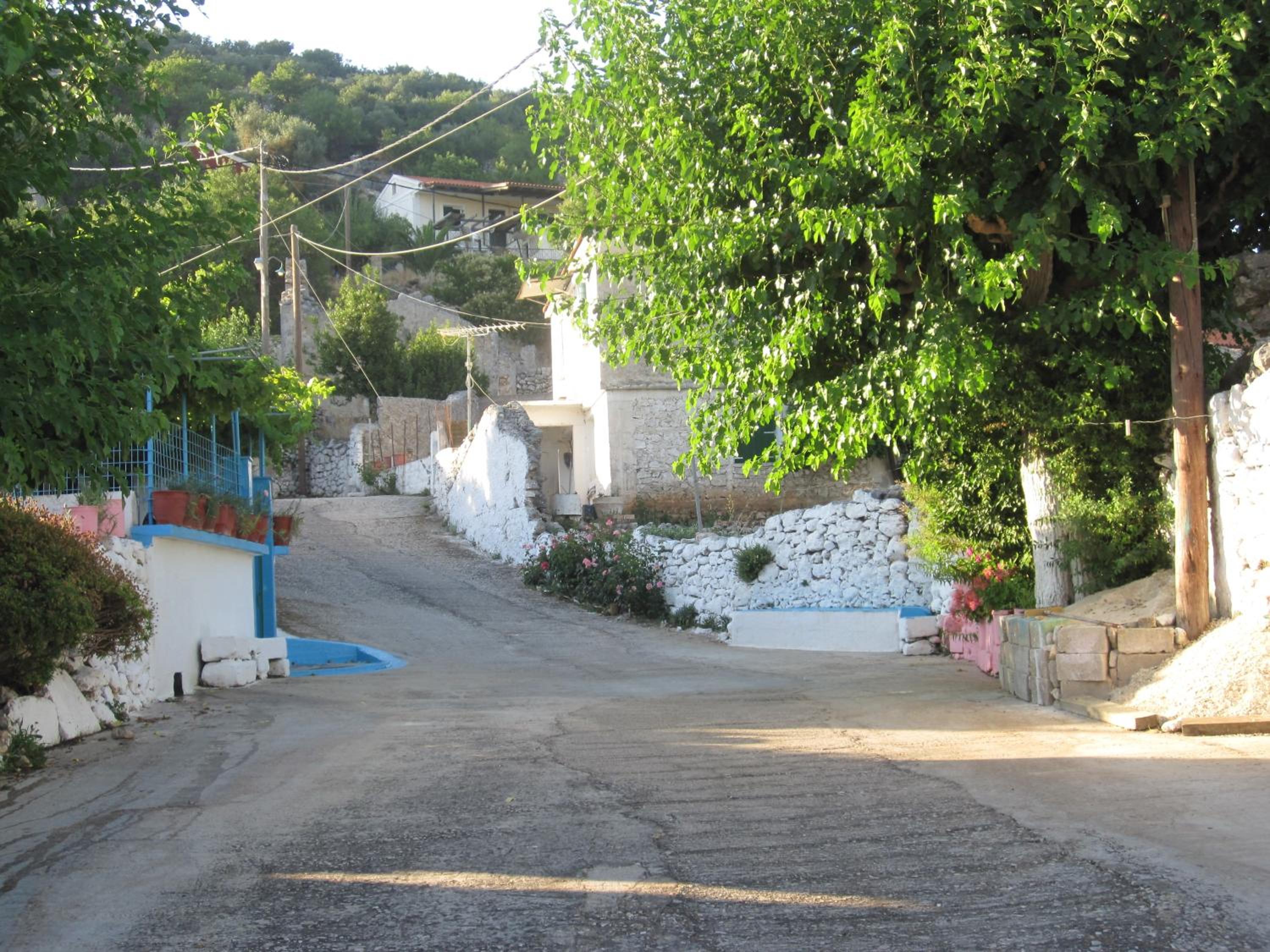 Photo 40