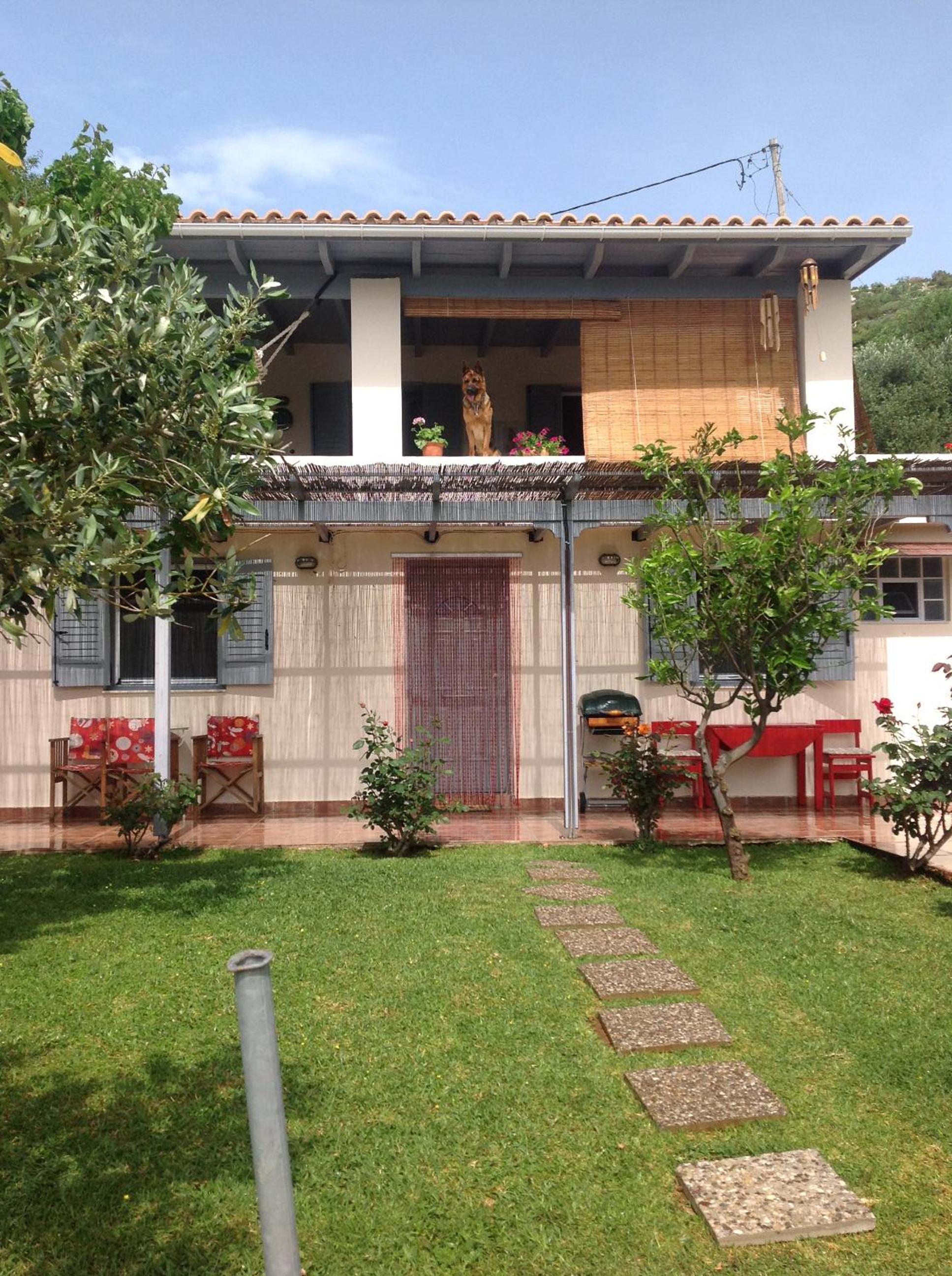 Photo 8