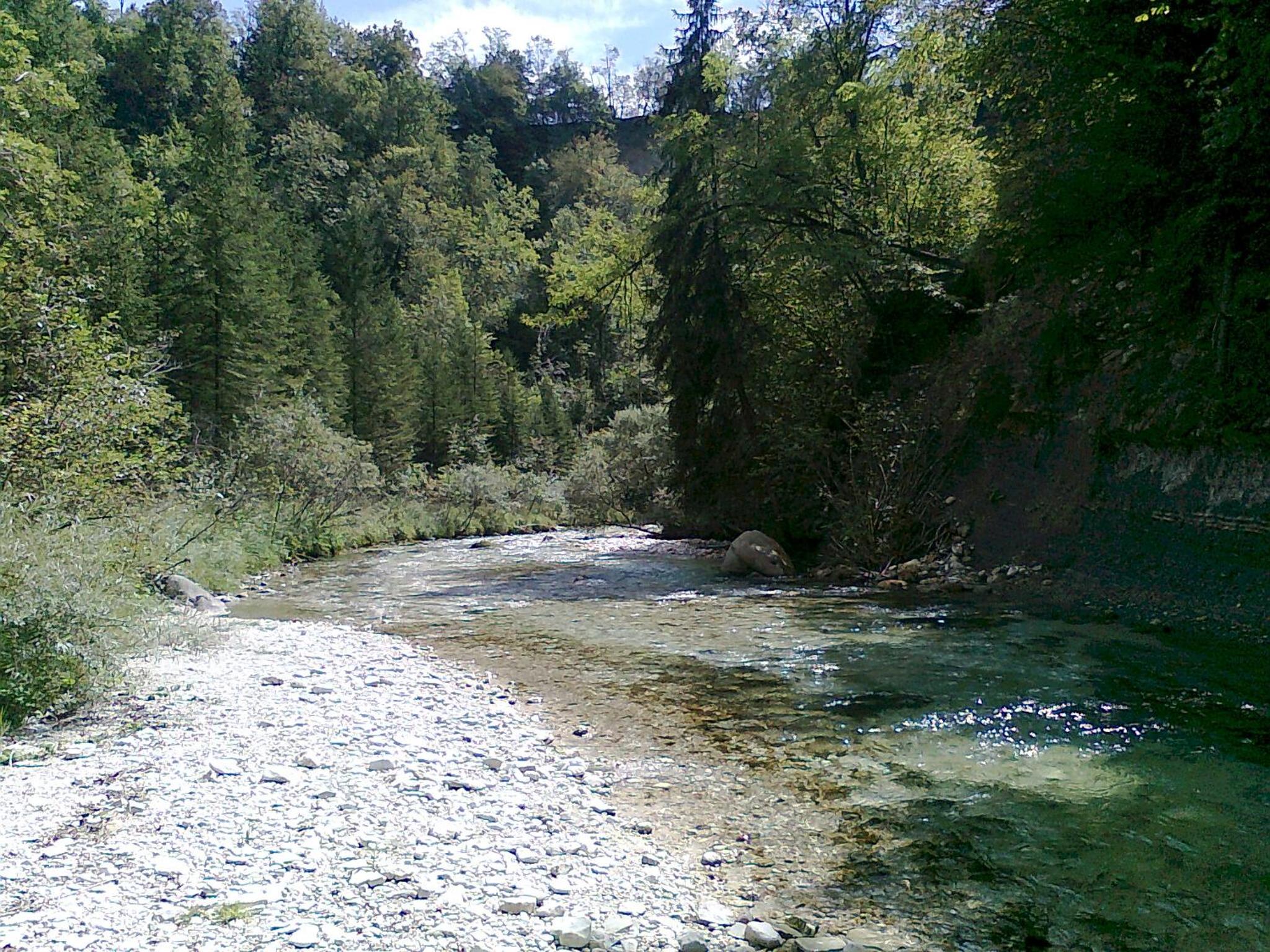 Photo 36