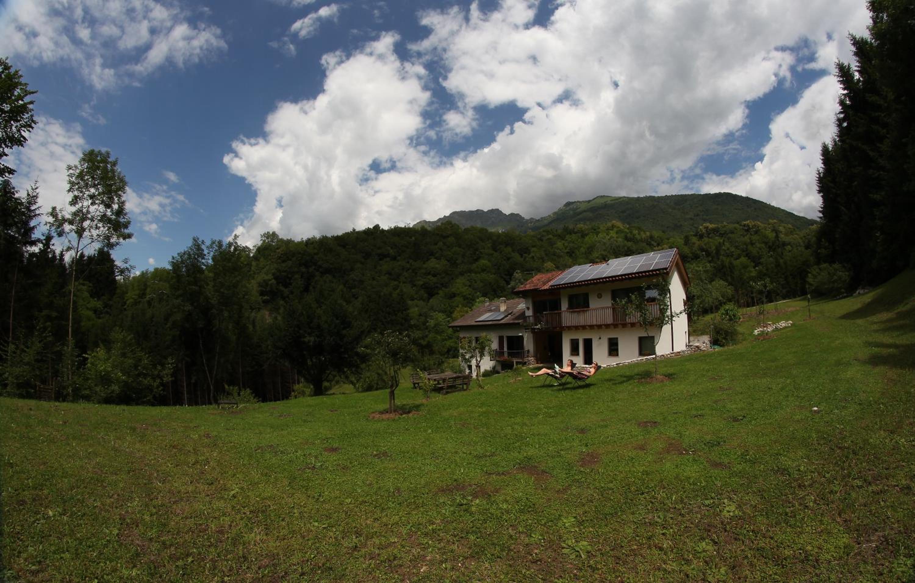 Photo 41