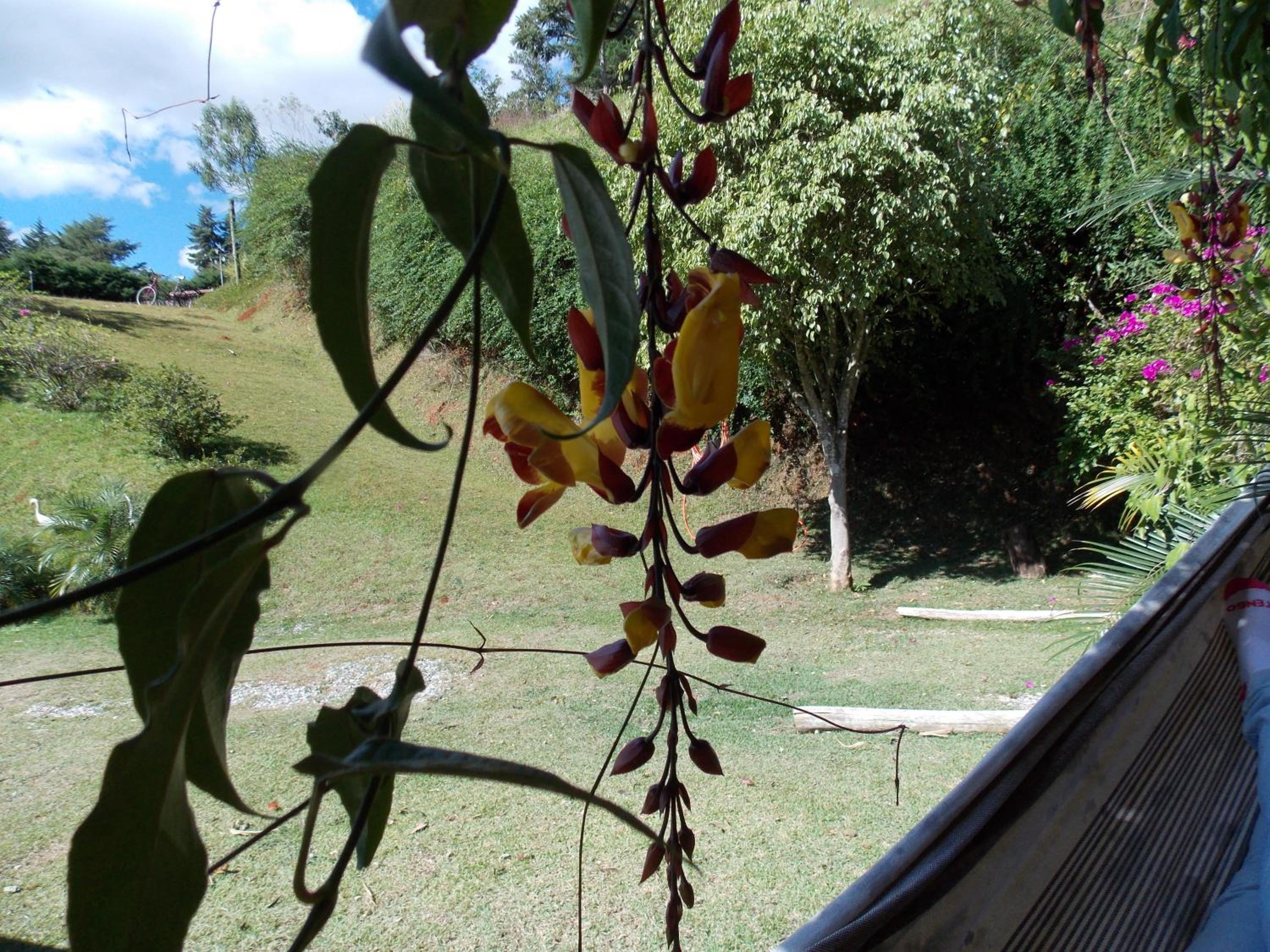 Pousada Villa dos Quilombolas